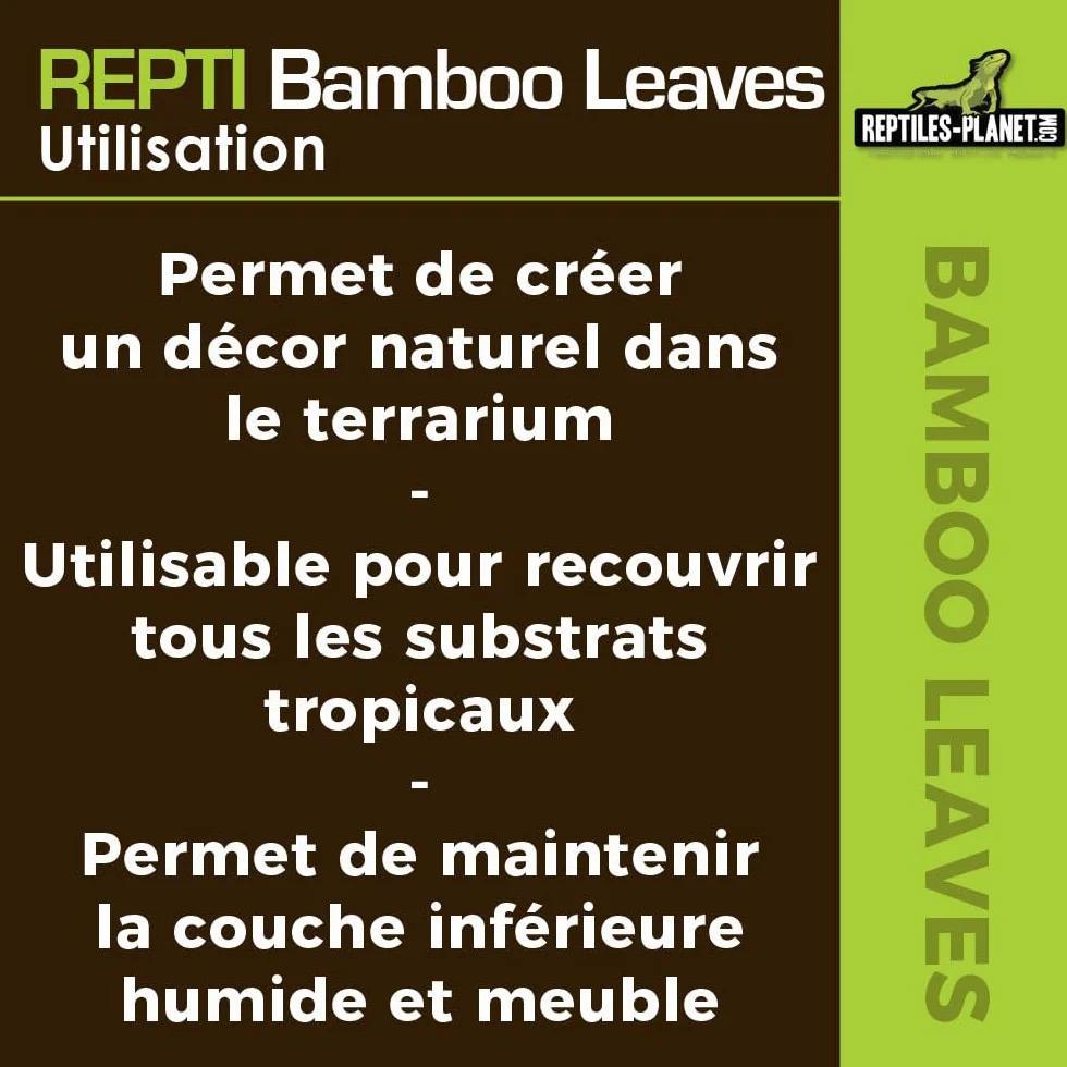 REPTILES PLANET Repti Bamboo Leaves Feuilles de Bambou Naturelles 2 litres Marron Clair