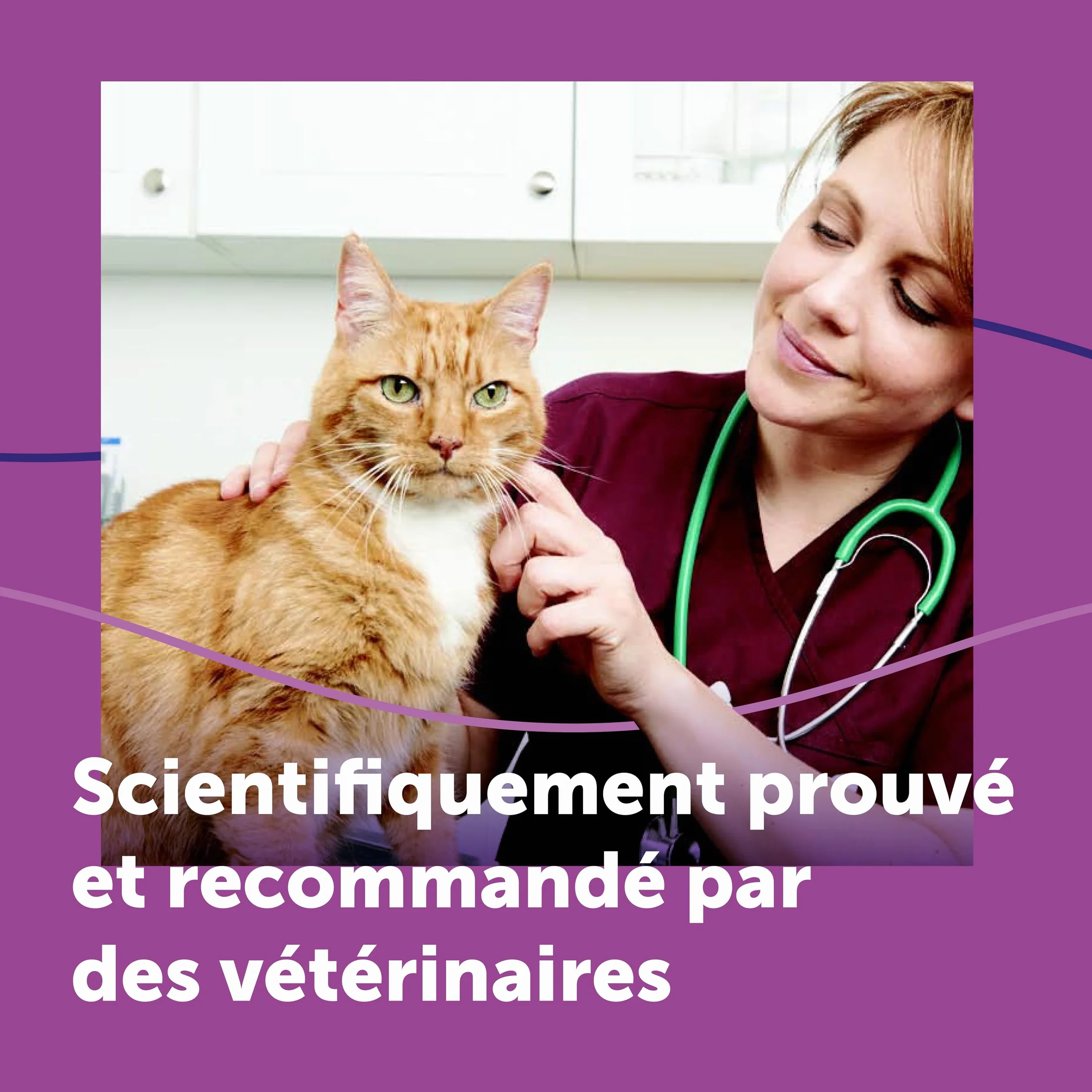 FELIWAY Classic 30 Jours Diffuseur de Phéromones Apaisantes pour Chats + Recharge 48 ml