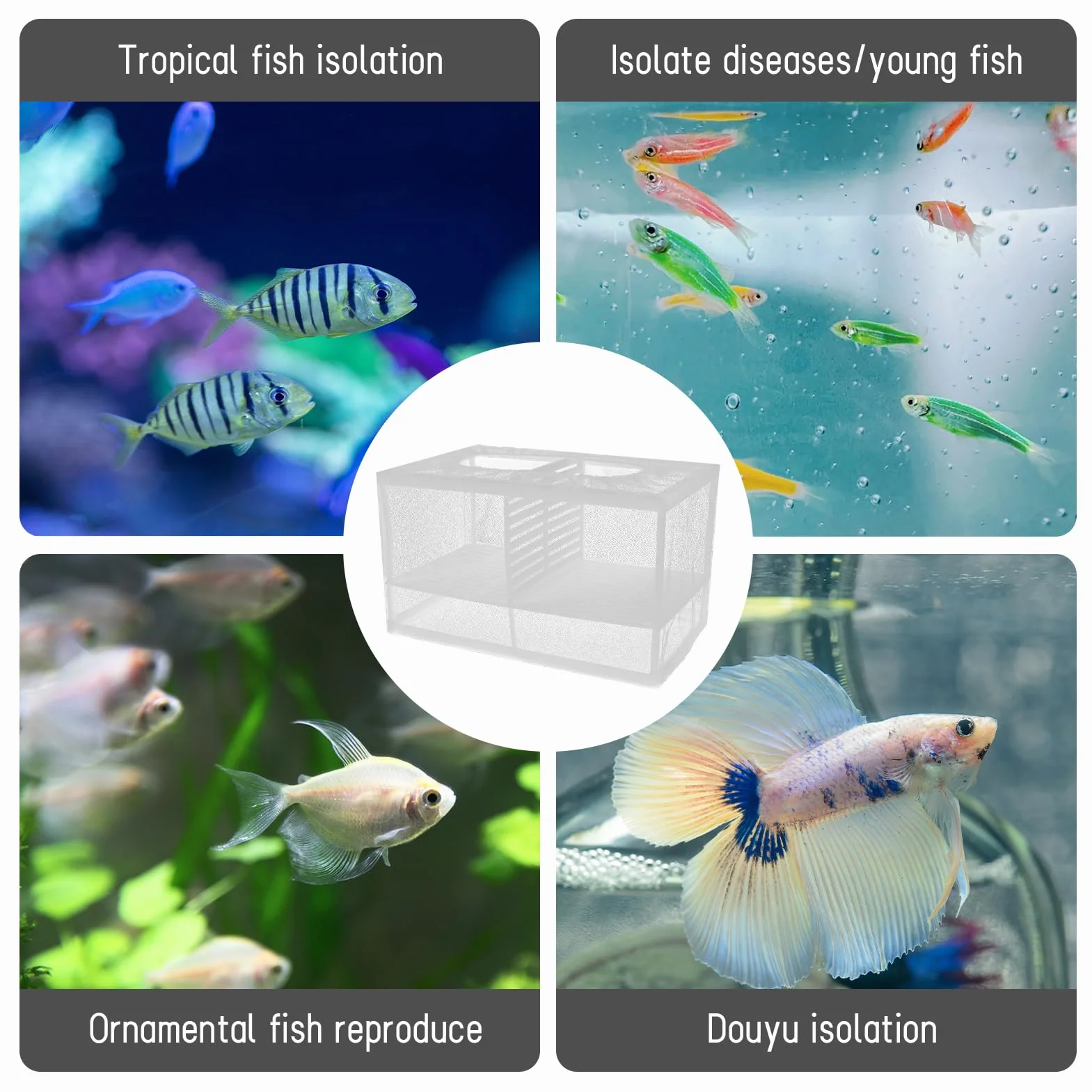 Couveuse Et Pondoir Aquarium, Boîte De Reproduction Pour Poissons Avec Séparation Amovible, Filet De Maille Fine, Auto-Flottante, 6 Ventouses