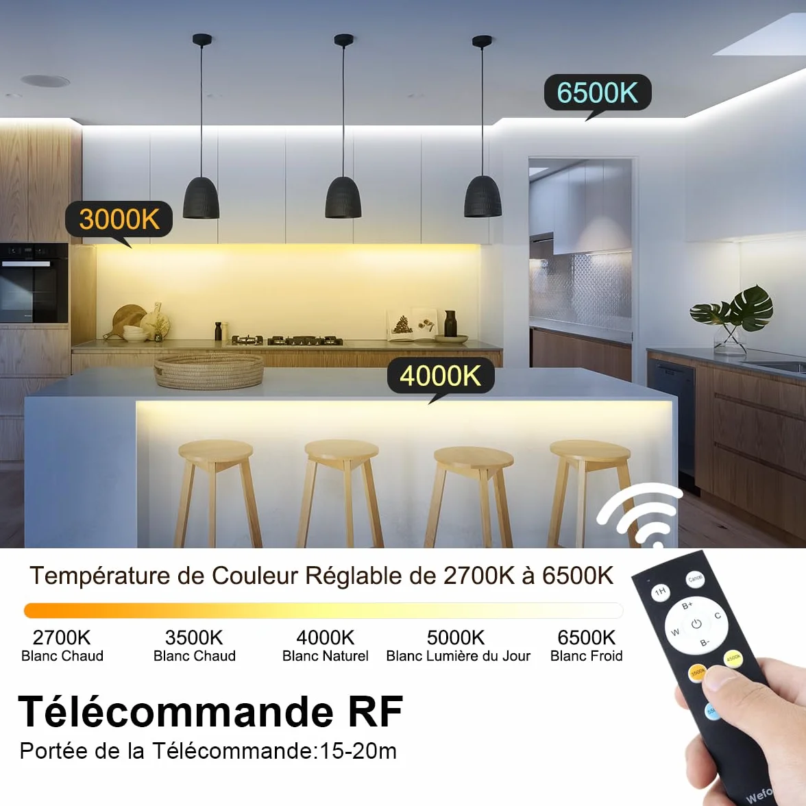 Bande LED COB 10M 24V Dimmable 2700K-6500K CRI>92 620LEDs/M App Control