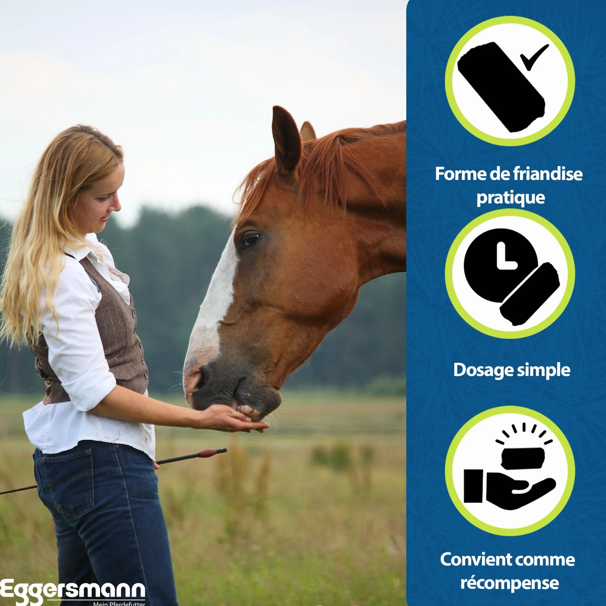 Eggersmann Mineral Bricks dla Koni 4 kg – Nourriture minérale pour Chevaux
