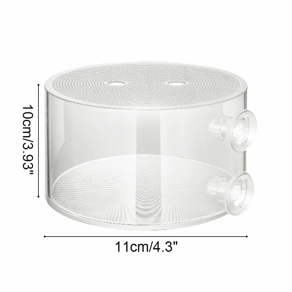 Boîte d'Élevage et d'Isolation en Acrylique pour Poissons - Réservoir avec Ventouses pour Aquarium