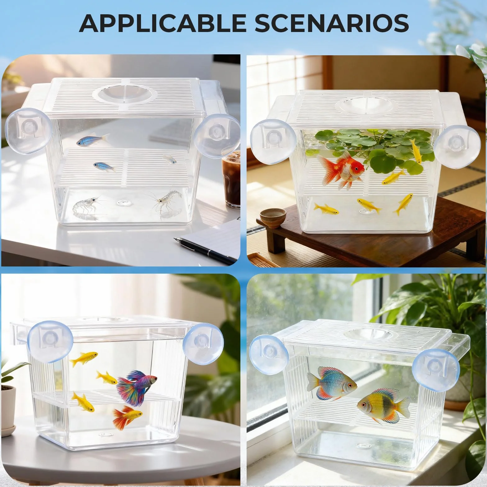 Boîte de Culture de Poissons, Couveuse Aquarium Acrylique Transparente avec Ventouses, Bac Alevins Autoflottant