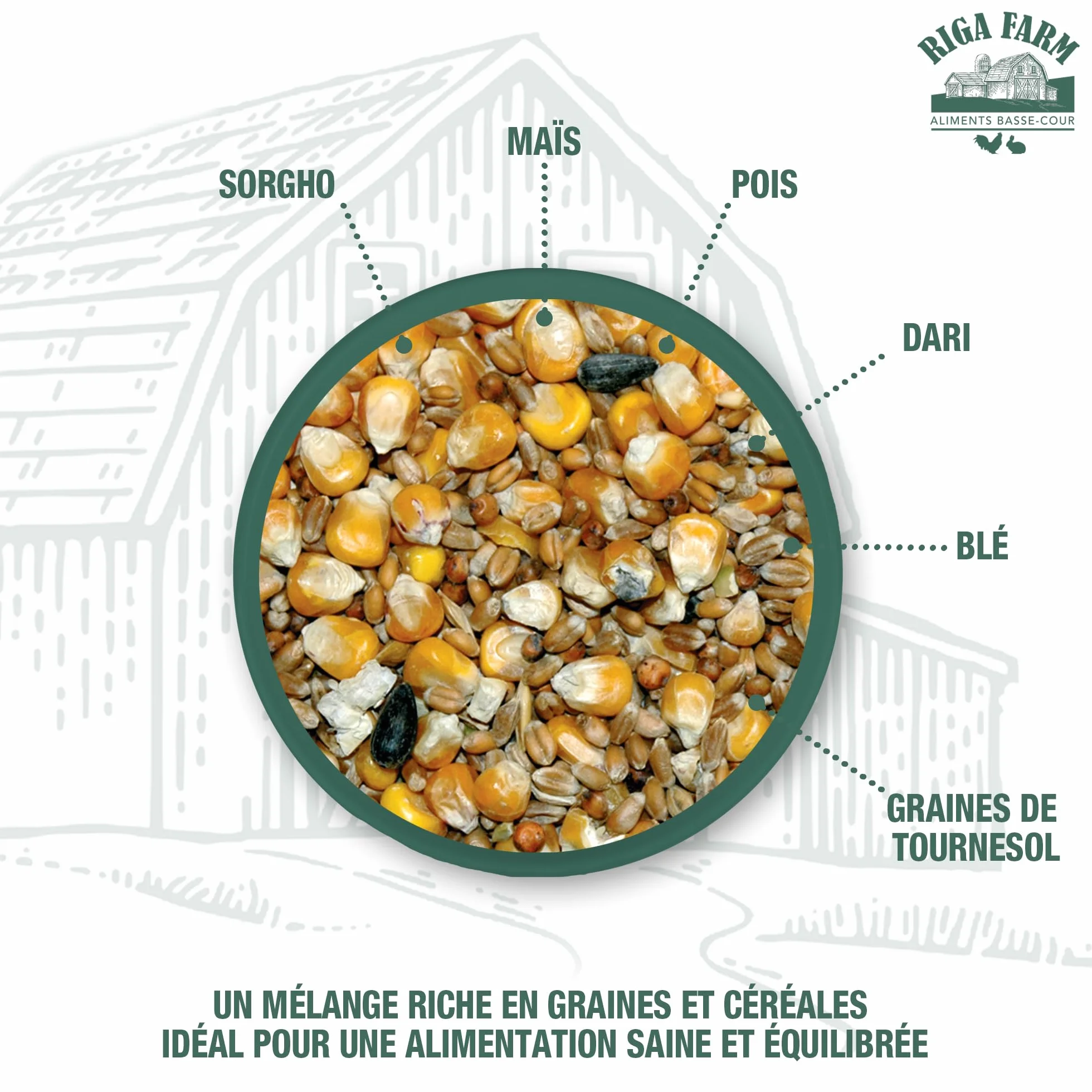 Mélange De Graines Et Céréales pour Volaille Riga 4 kg Riche en Vitamines Et Minéraux