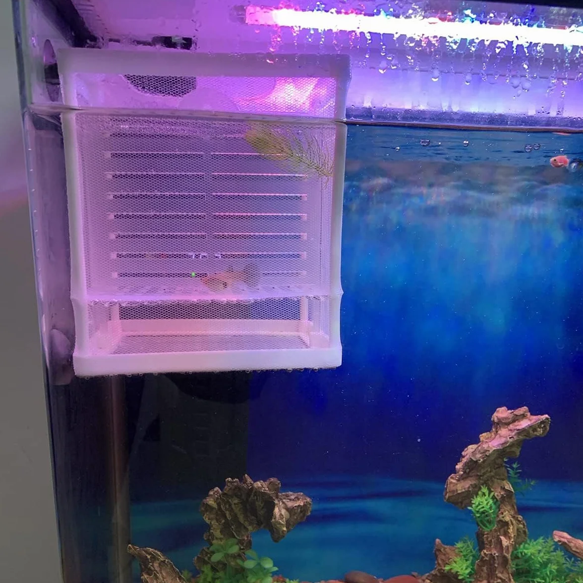 Kiuiom Boîte d’Élevage de Poissons, Aquarium Incubateur Filet pour Poisson