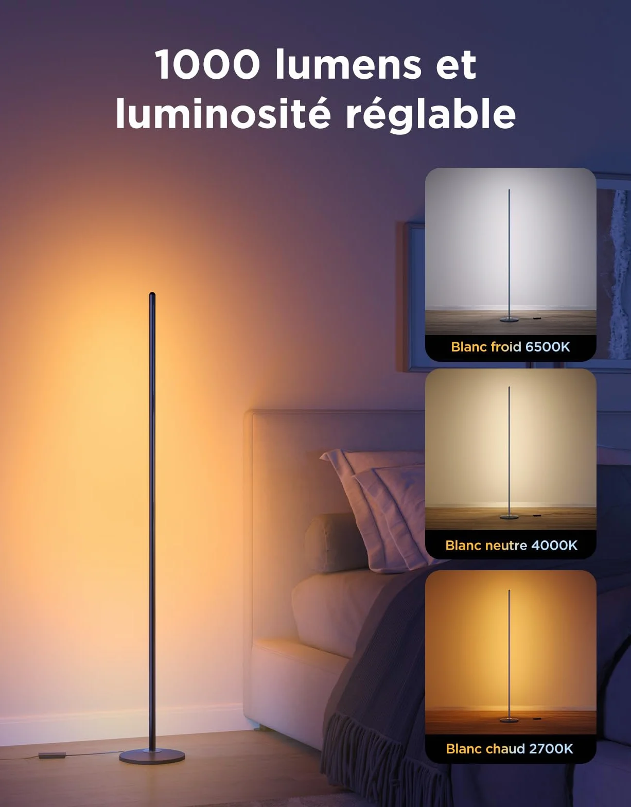 Govee RGBIC Lampadaire LED WiFi, Fonctionne avec Alexa Matter Google Assistant, Musique Sync, 16 Millions Couleurs 61 Modes de Scène