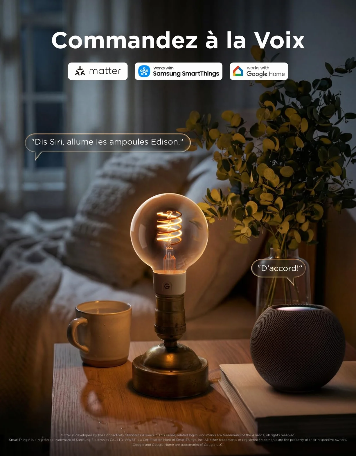 Govee Ampoule Connectée Edison E27 Lampe LED Vintage RGBWW G80 Compatible Matter Google Assistant Dimmable Lot de 2