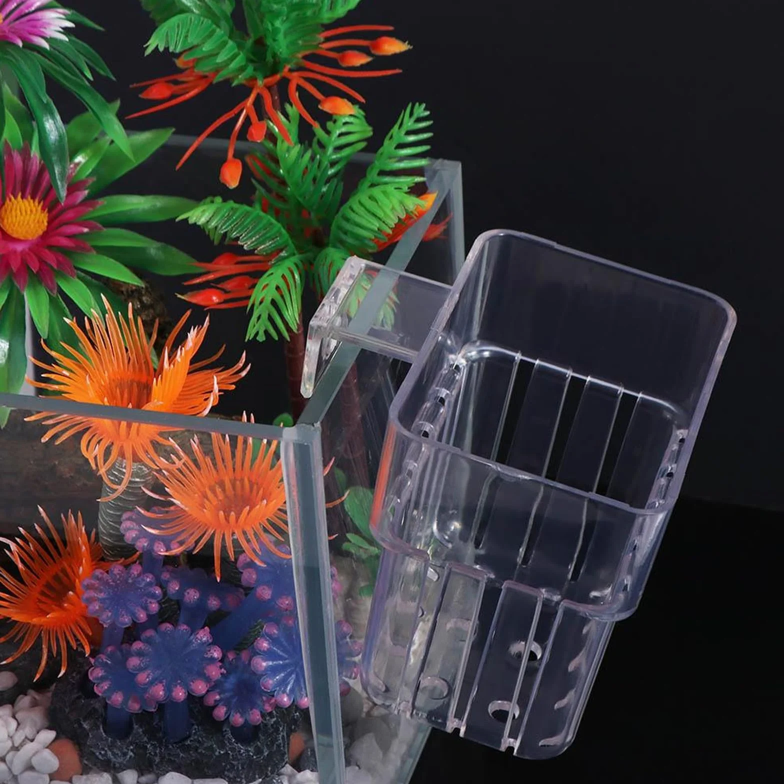 BORDEAG Support Plante D'aquarium 6 Pièces, Pot Mural pour Aquarium