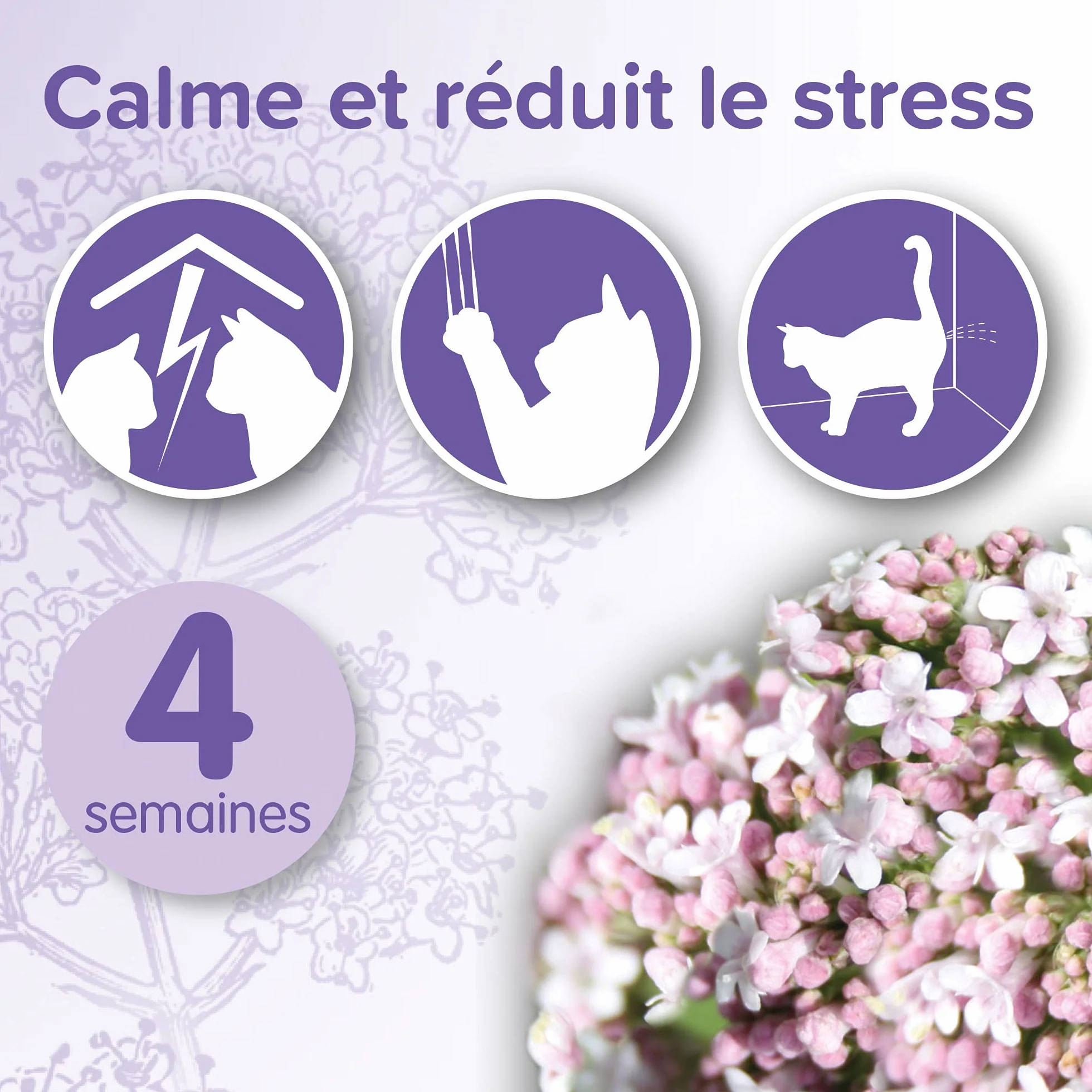 Beaphar NO Stress Recharge diffuseur électrique calmant Valériane Chat 30 ML 4 semaines
