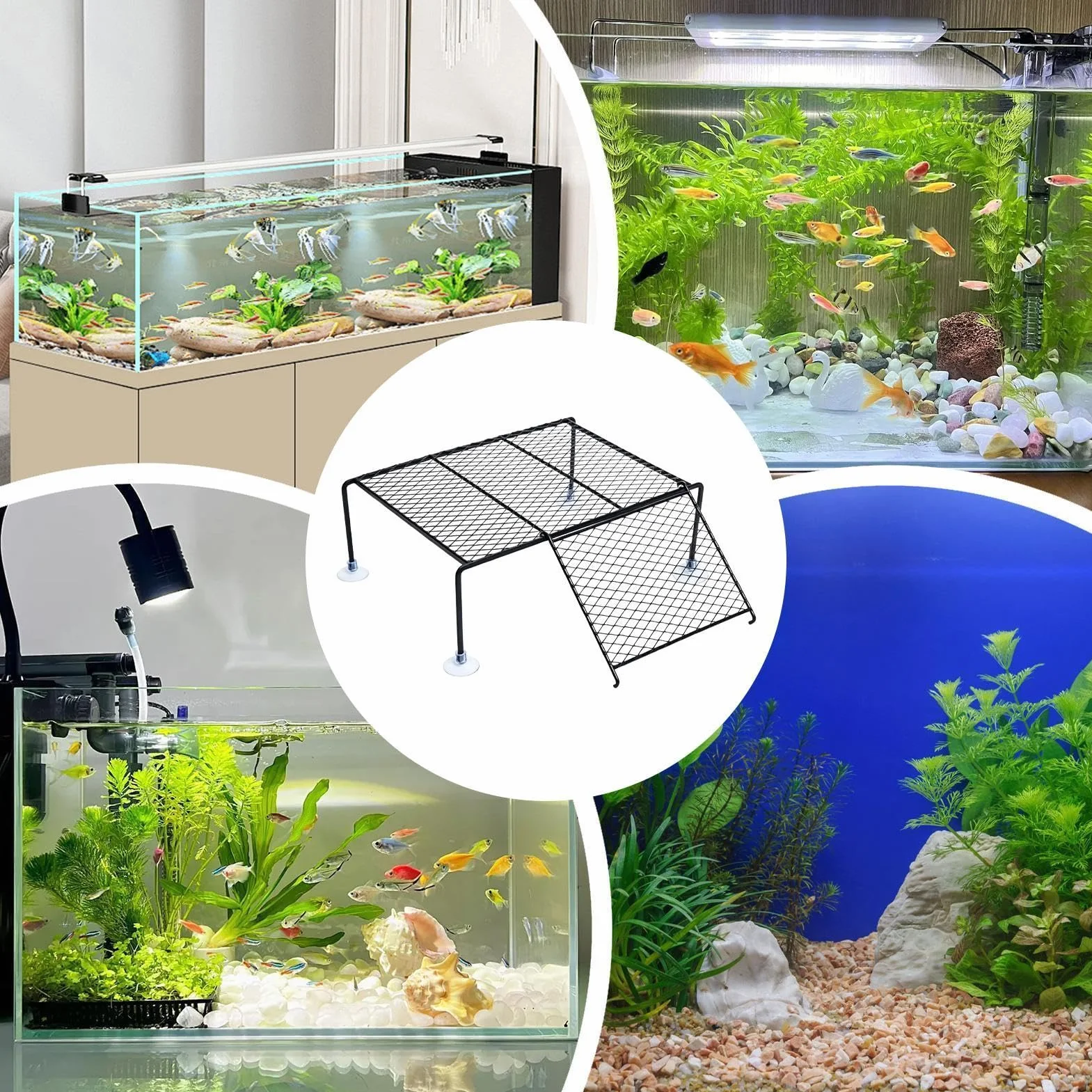 Plateforme solaire pour tortues d'eau - Île de repos avec rampe à ventouse, aquarium