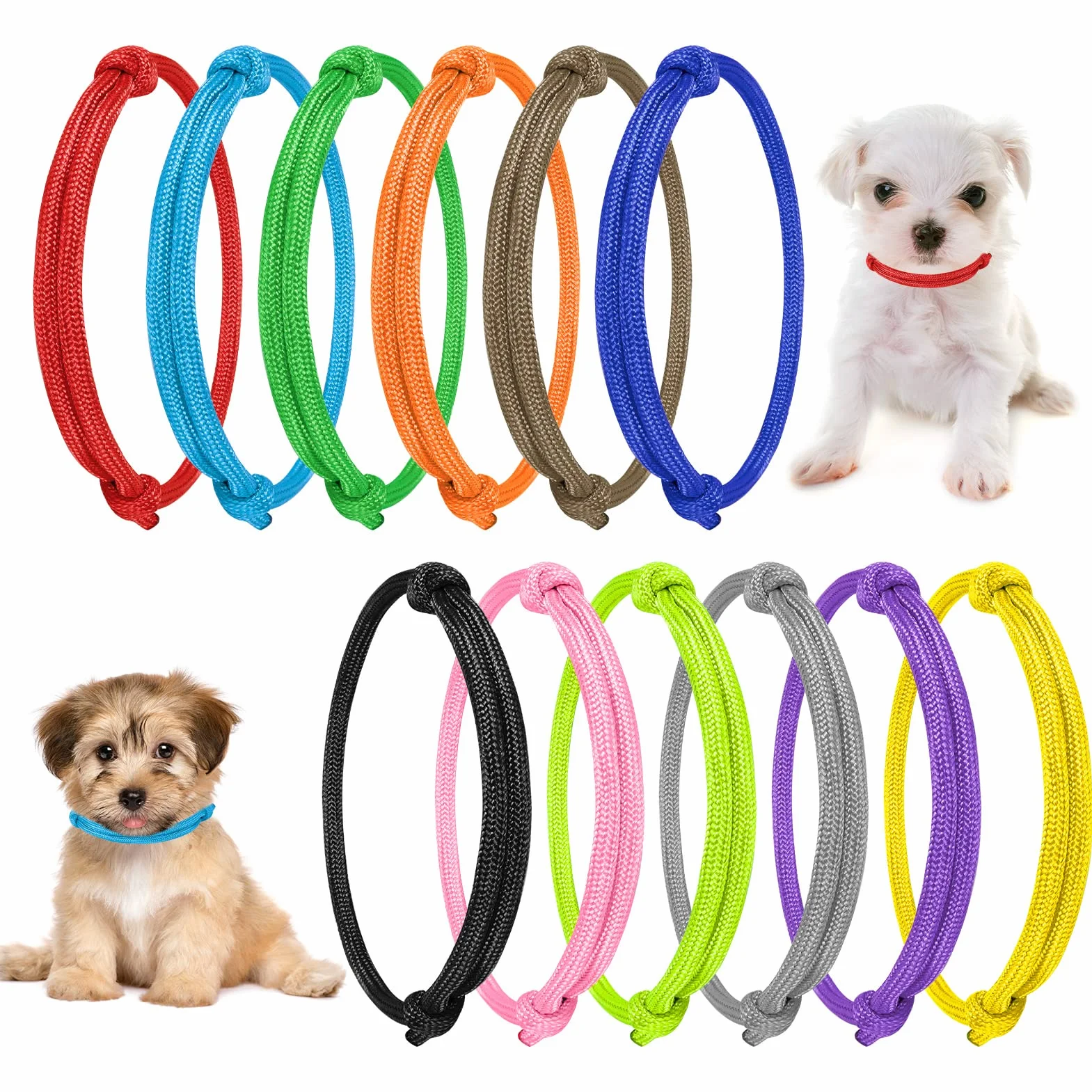 Collier Chiot Réglable Coloré 12 Pièces pour Chaton et Animaux de Compagnie