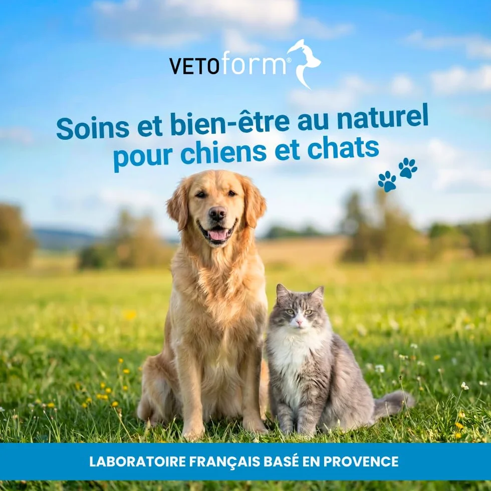 VETOFORM Pipette Antiparasitaire Chaton Anti puces Anti-Tiques 3x0,6 ML Fabriqué en France