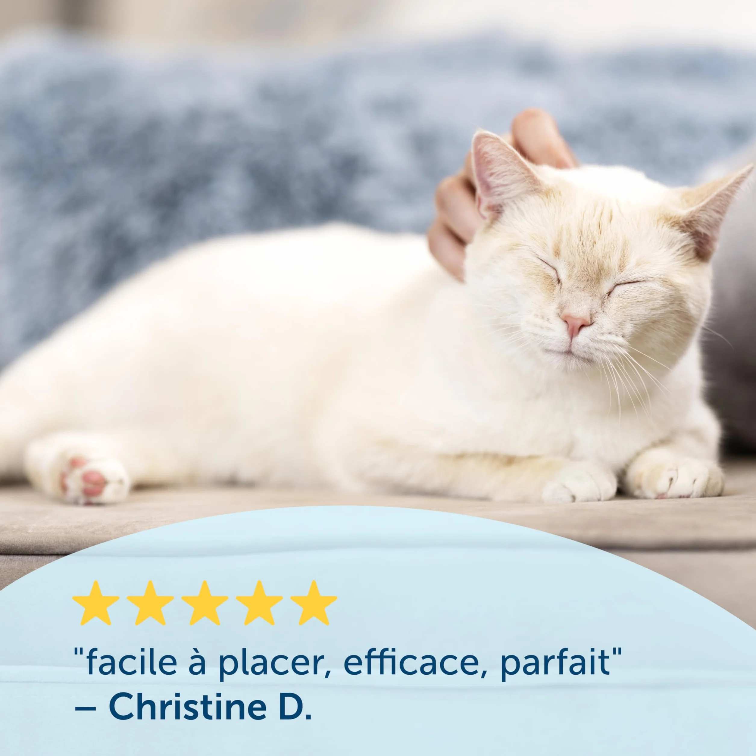 PetSafe Chatière Classique Staywell 4 options fermeture magnétique pour chat jusqu'à 7kg blanc
