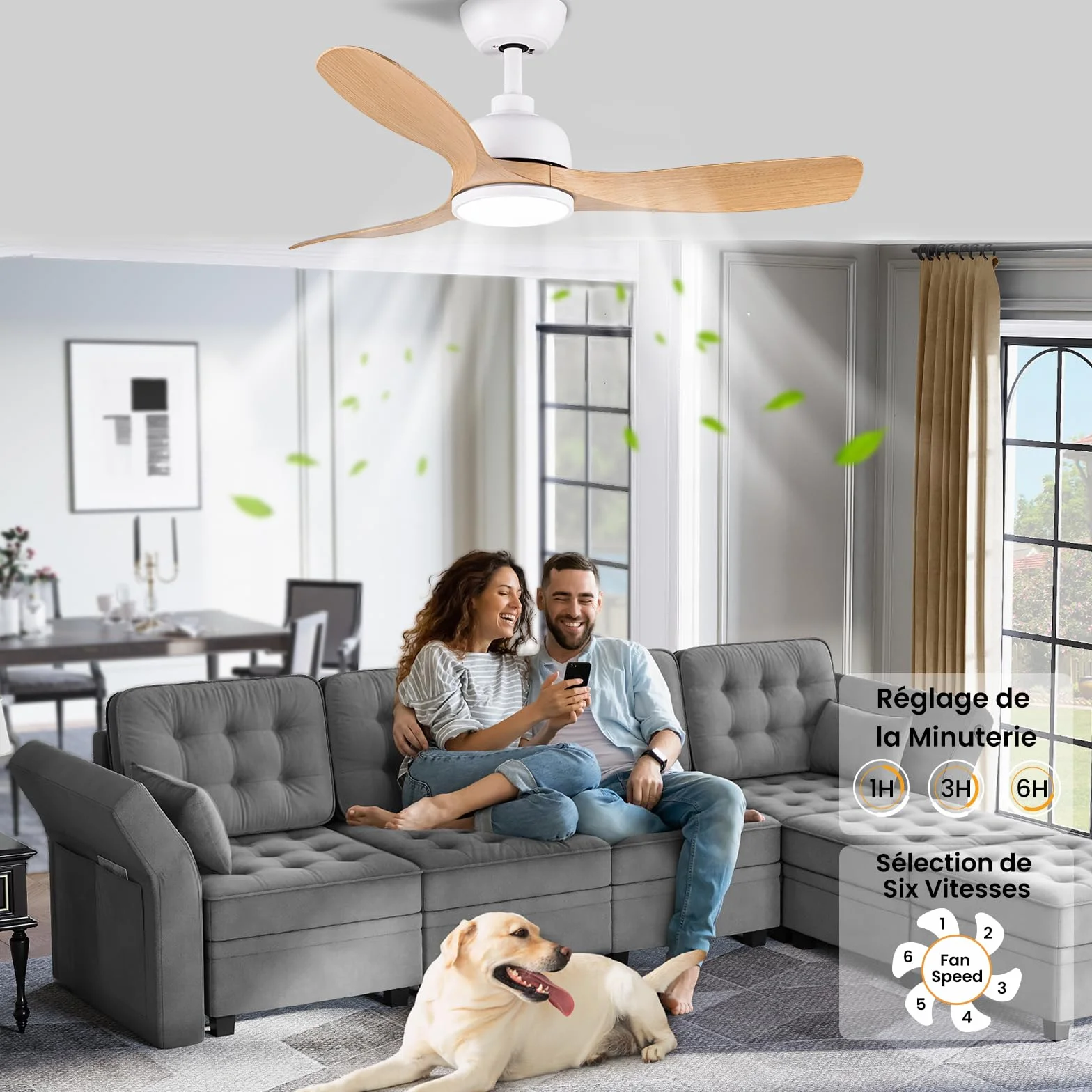 CJOY Ventilateur Plafond avec Lumiere 107cm Bois Telecommande 6 Vitesses Minuterie 3 CCT Dimmable Silencieux