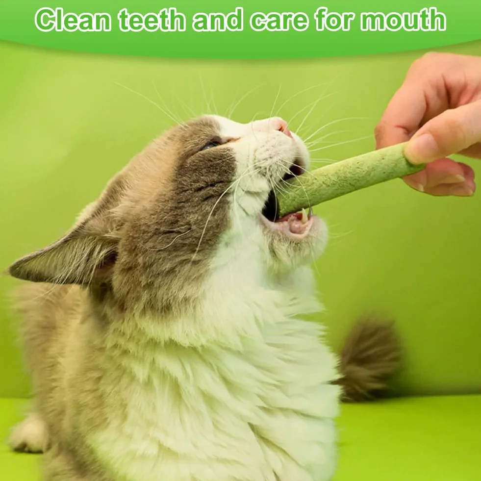 Bâton d'herbe à Chat 24pcs Bandes Lyophilisé Comestible Nettoyage des Dents Élimination Boules de Poils