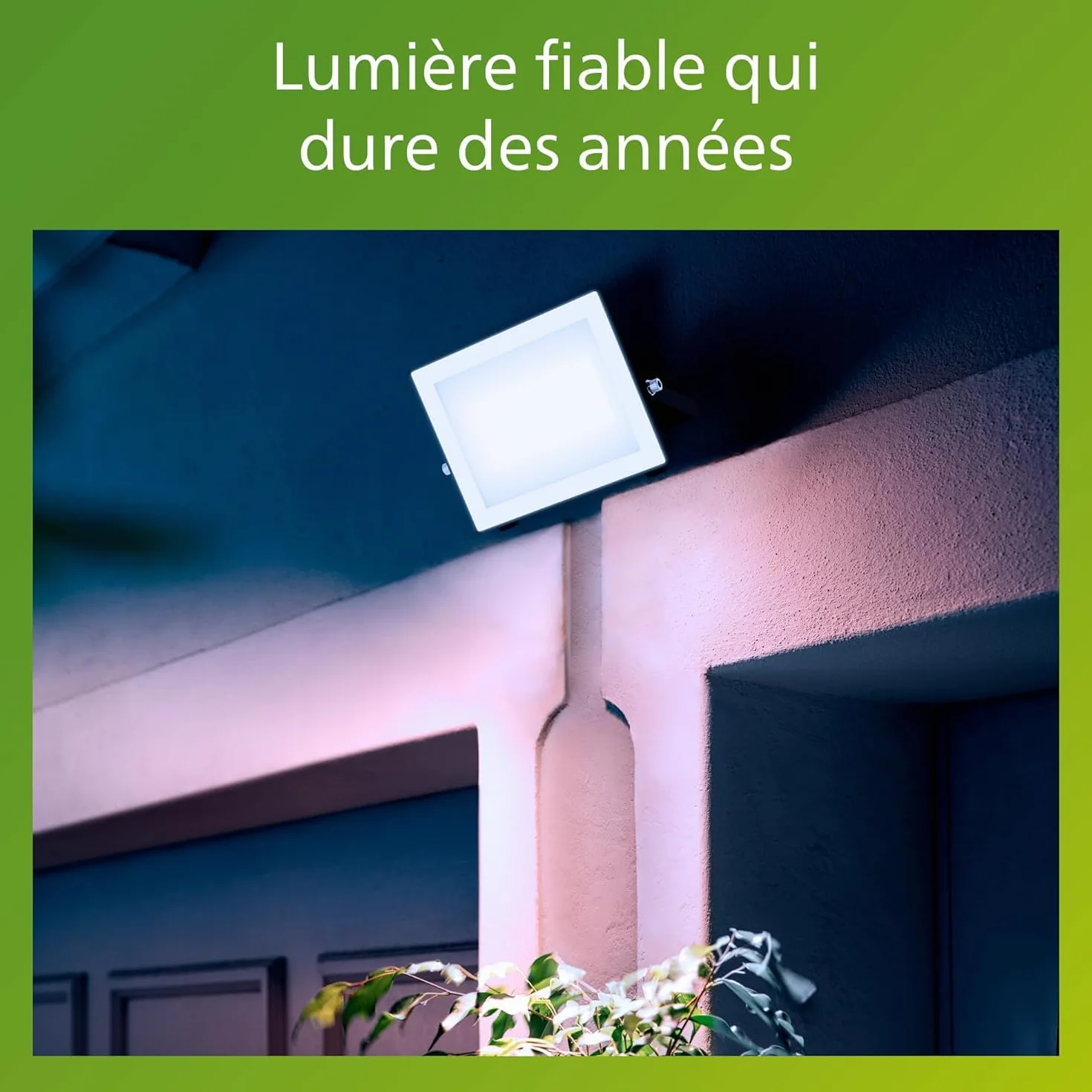 Philips Lois Projecteur Extérieur 50W 5000K Noir