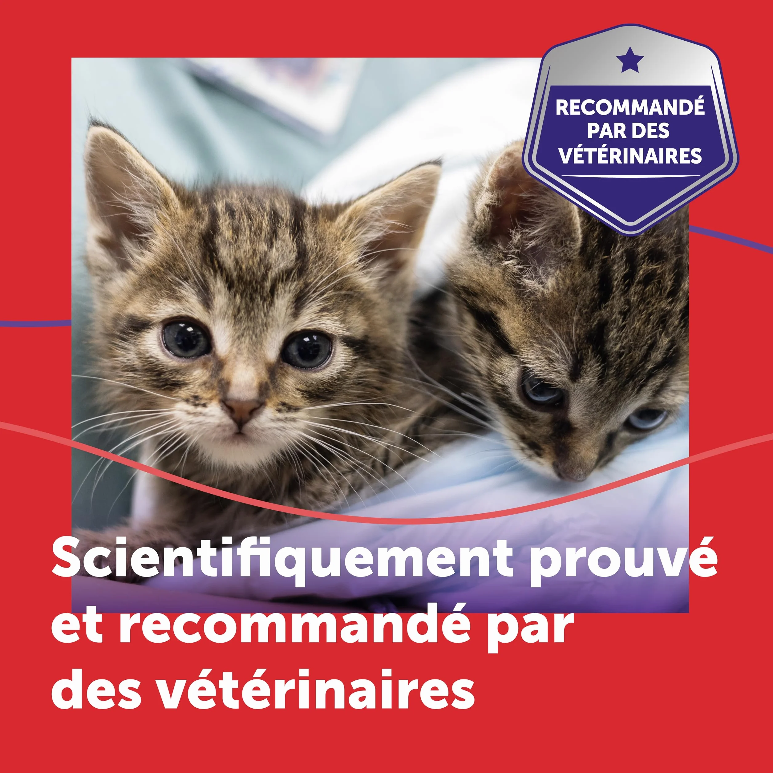 FELIWAY Friends 30 Jours - Kit Complet Diffuseur Phéromones Apaisantes pour Chats + Recharge 48 ml