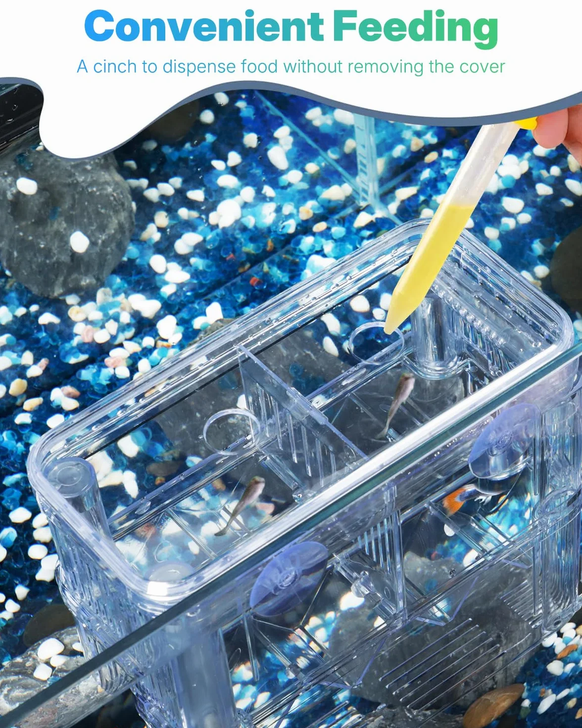 Pawfly Boîte d'élevage d'aquarium en plastique transparent - Incubateur pour crevettes - Grande boîte d'isolation pour poissons