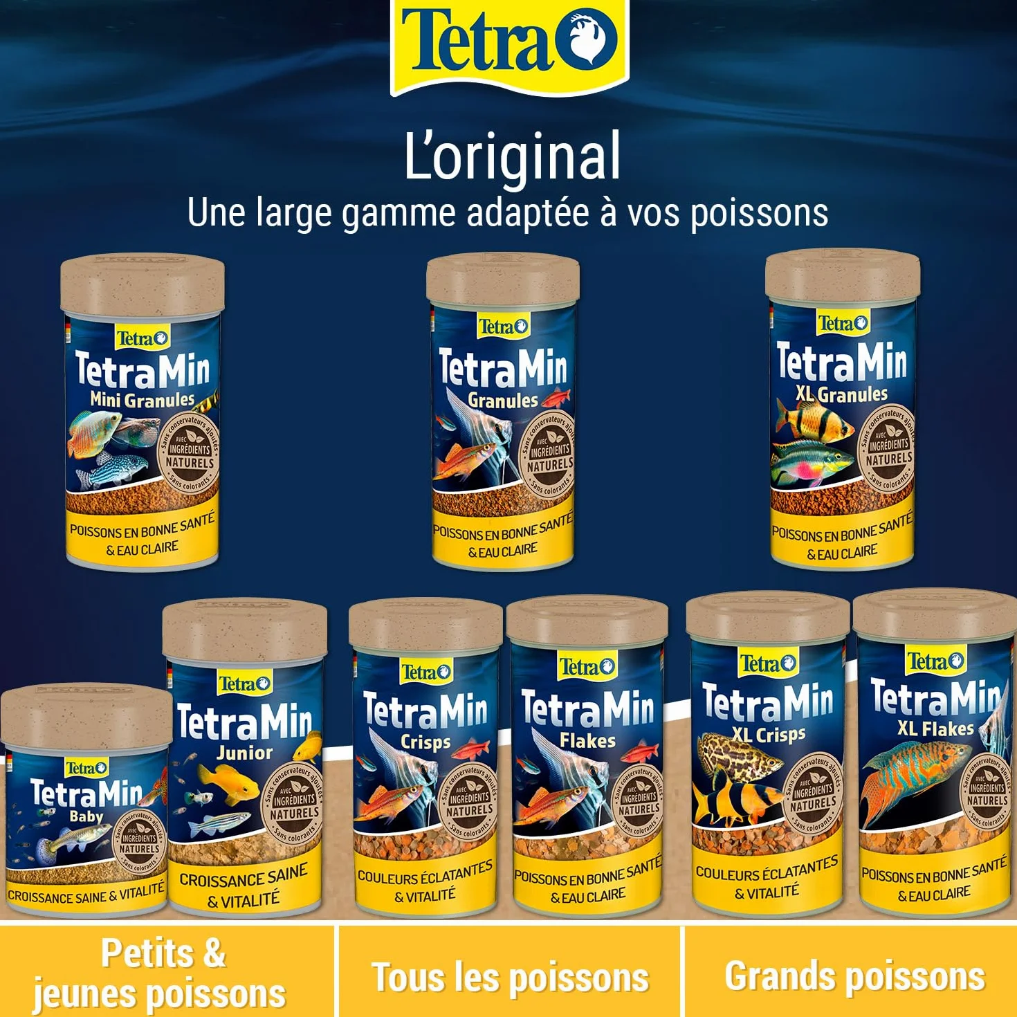 TetraMin Granules Nutri Evolution Aliment Complet Poissons Tropicaux 500 ml
