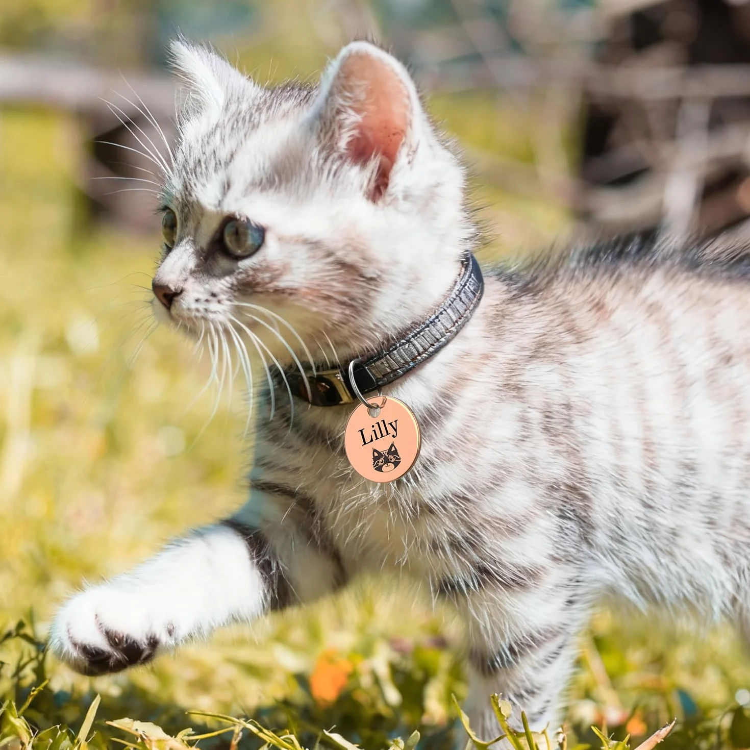 Médaille d'identification gravée sur mesure pour chien et chat en acier inoxydable poli résistant aux rayures