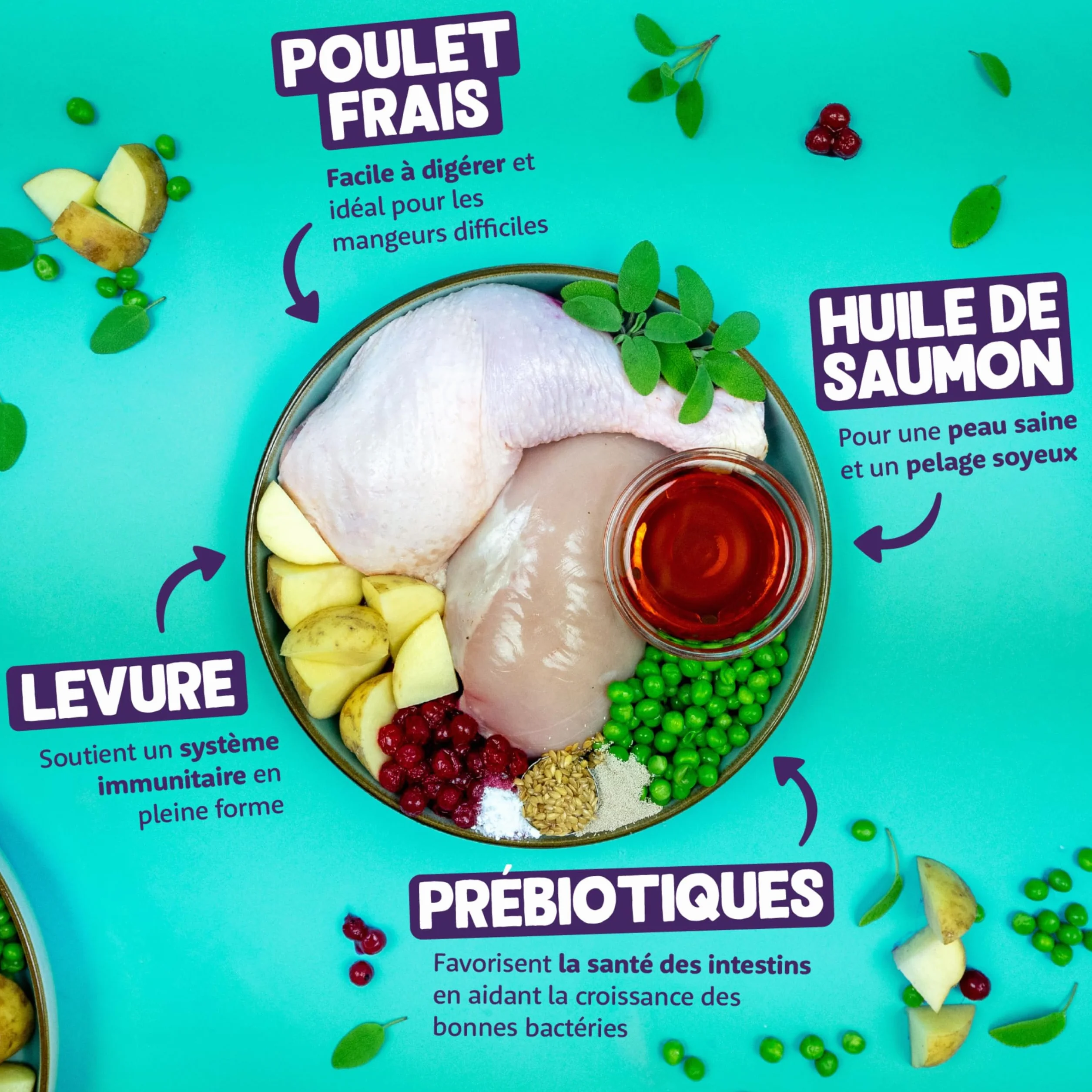 Edgard Cooper Croquettes pour Chat Stérilisé Adulte Poulet 2kg Sans céréales Riche en protéines