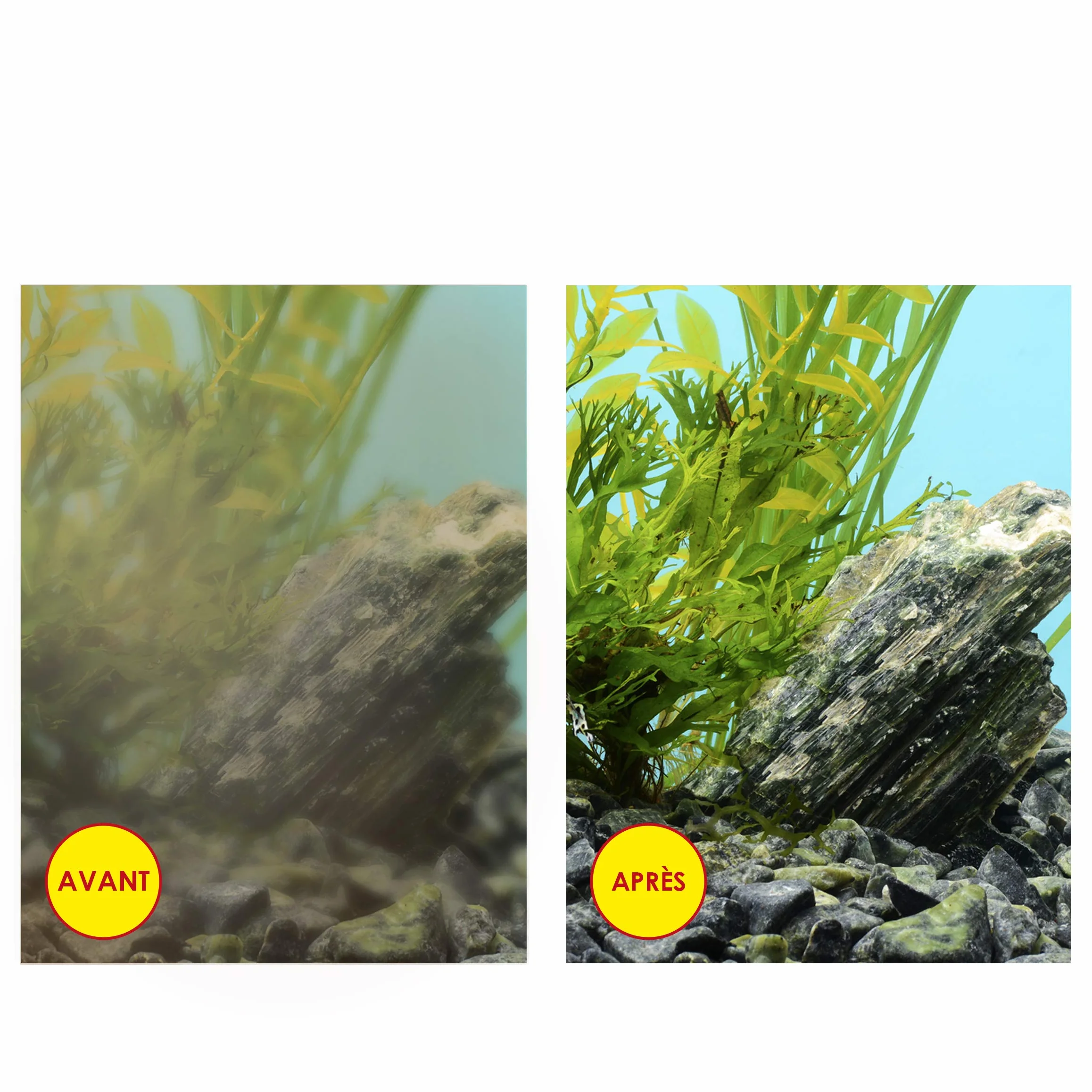 Cartouches de Filtration de Rechange pour Aquarium CIANO Taille S Pack 3 Mois