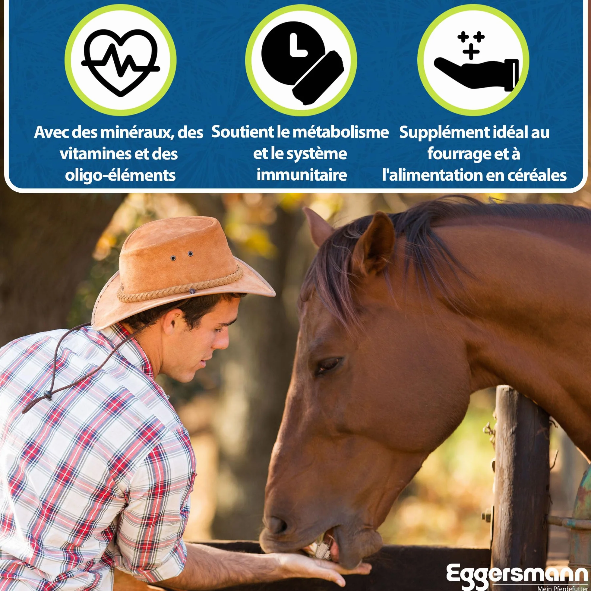 Eggersmann Mineral Bricks dla Koni 4 kg – Nourriture minérale pour Chevaux