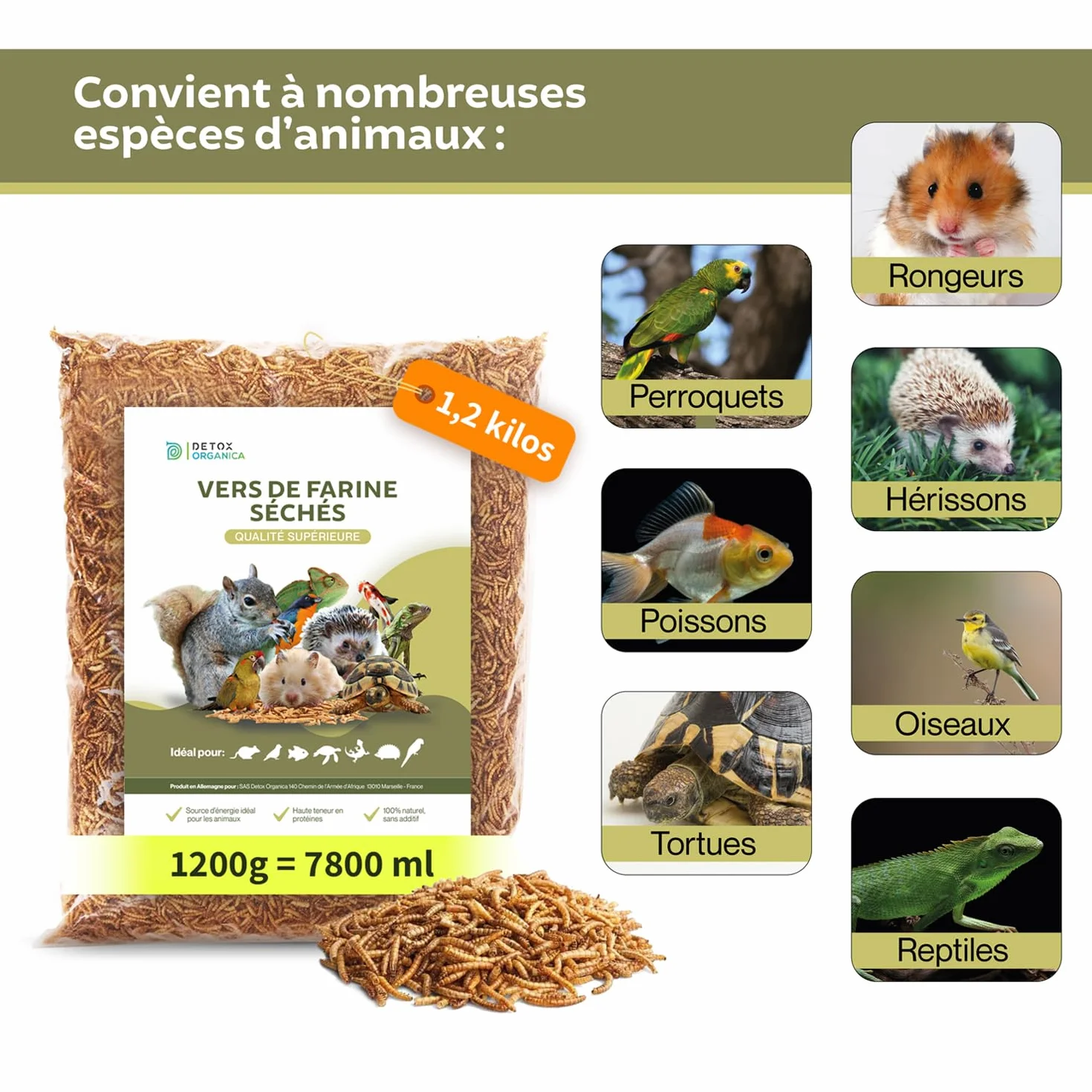 Detox Organica vers de Farine Séchés 1.2 kg 1200 g Friandise Oiseaux Hérissons Tortues Reptiles Poissons Rongeur Animaux Sauvages
