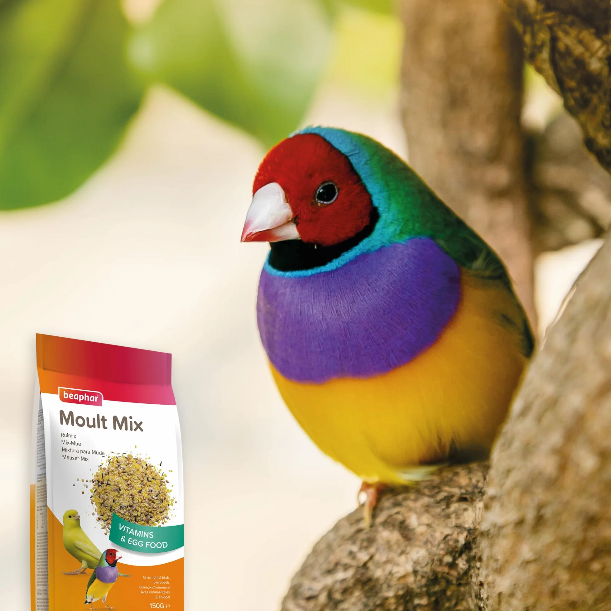 BEAPHAR Mix-Mue pâtée fortifiante pour Perruche canari Oiseau Exotique vitamines acides aminés minéraux 150g