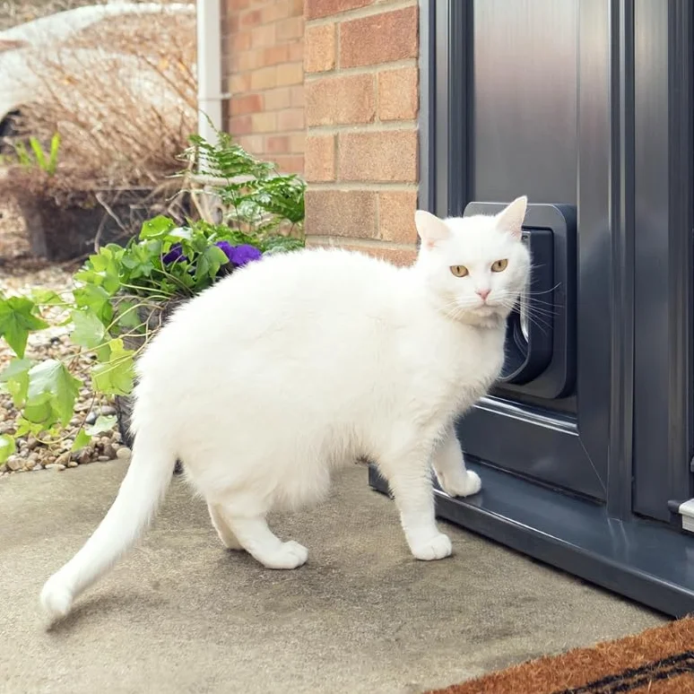 Sure PetCare Chatière à Puce électronique SureFlap Compatible avec médaillon d'identification par radiofréquence et puces électroniques Gris/Blanc