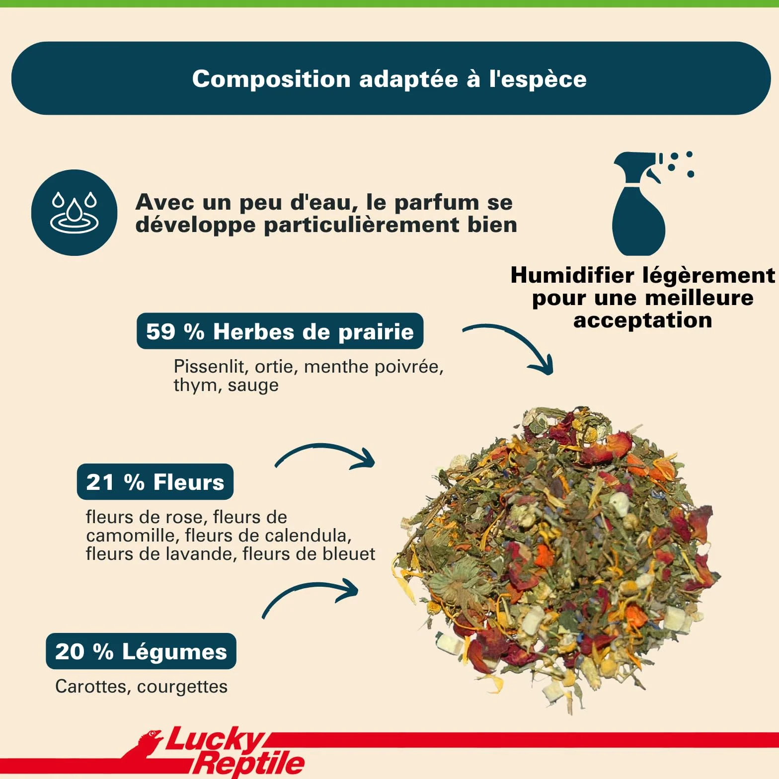 Lucky Reptile Testudo Mix 80g Nourriture pour Tortues terrestres avec Fleurs séchées & Herbes