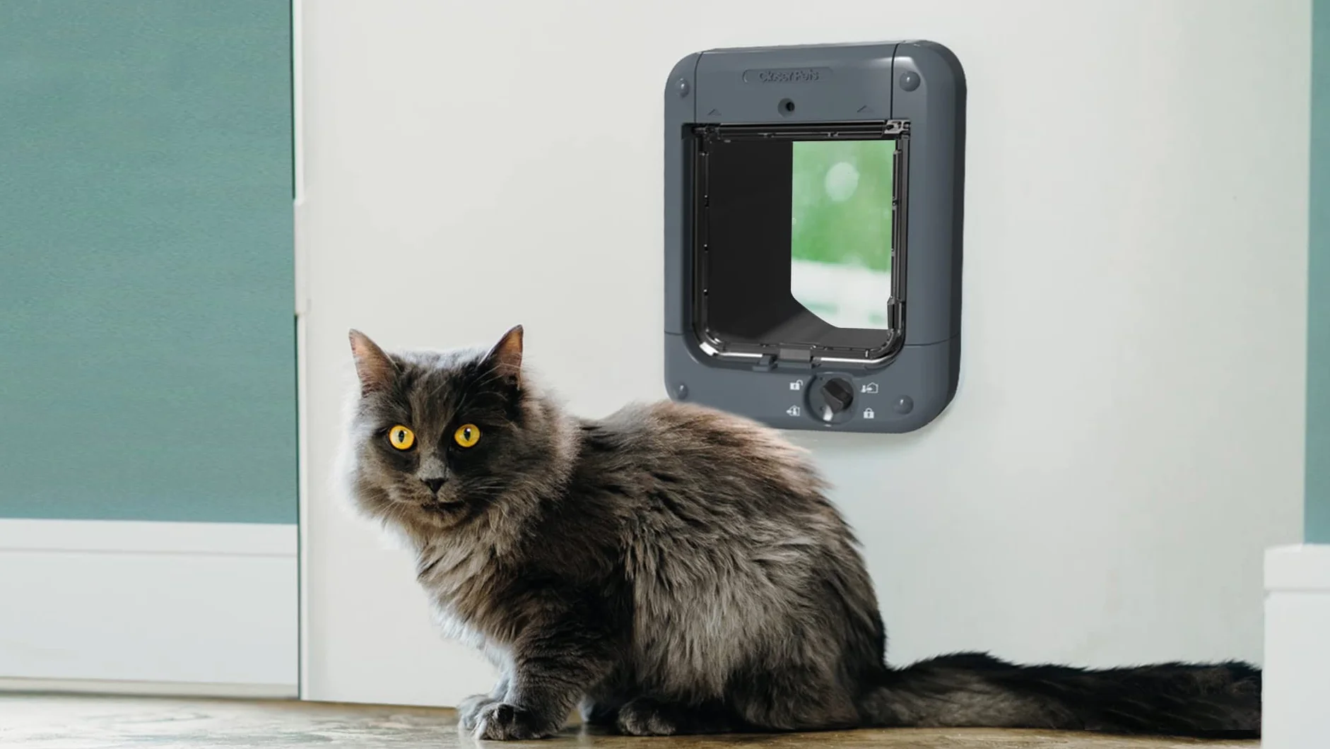 Cat Mate Chatière contrôlée par micropuce 360 pour Chats et Petits Chiens jusqu'à 30 Animaux domestiques Gris