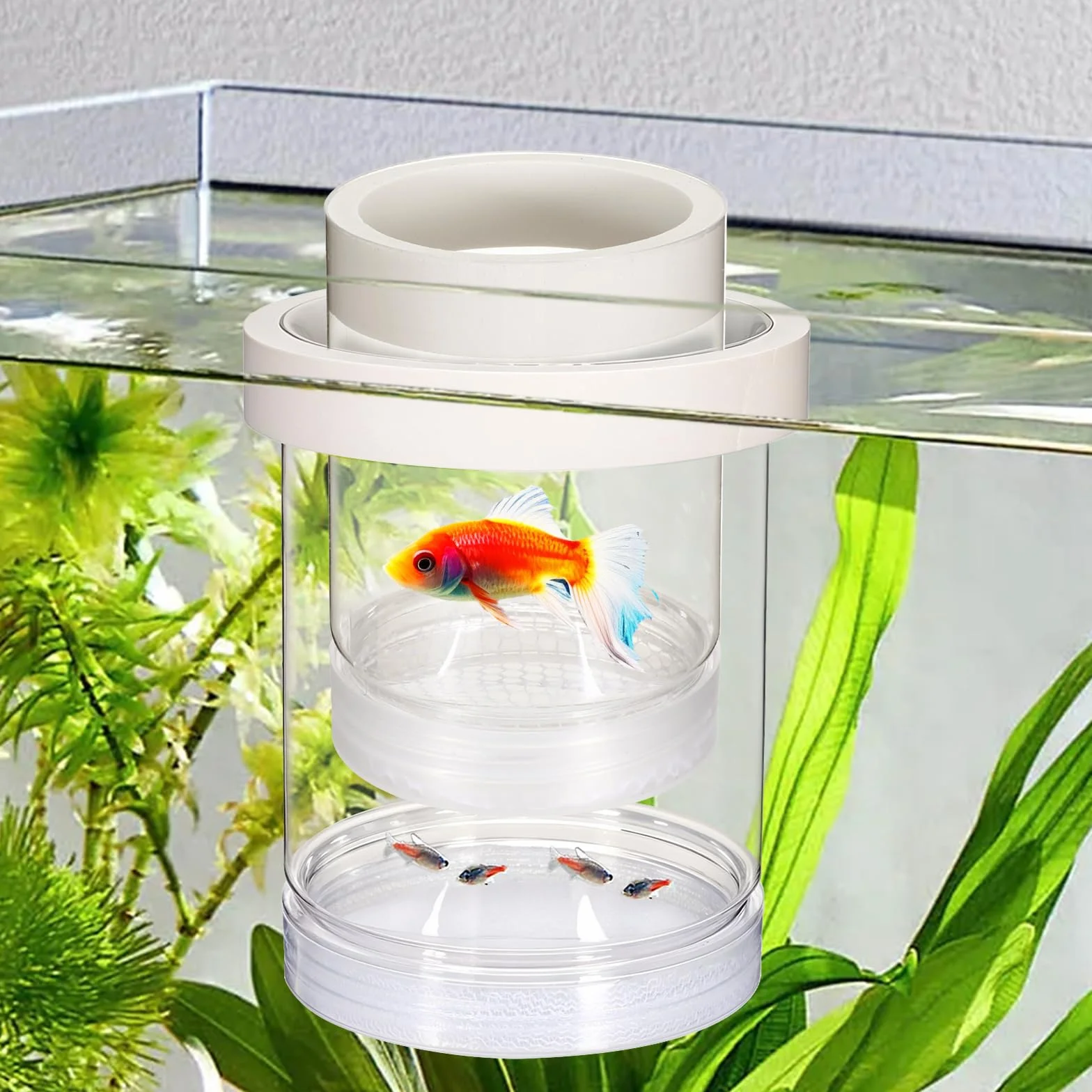 Boîte d'élevage flottante en plastique pour aquarium, séparateur de poissons, incubateur transparent pour crevettes betta