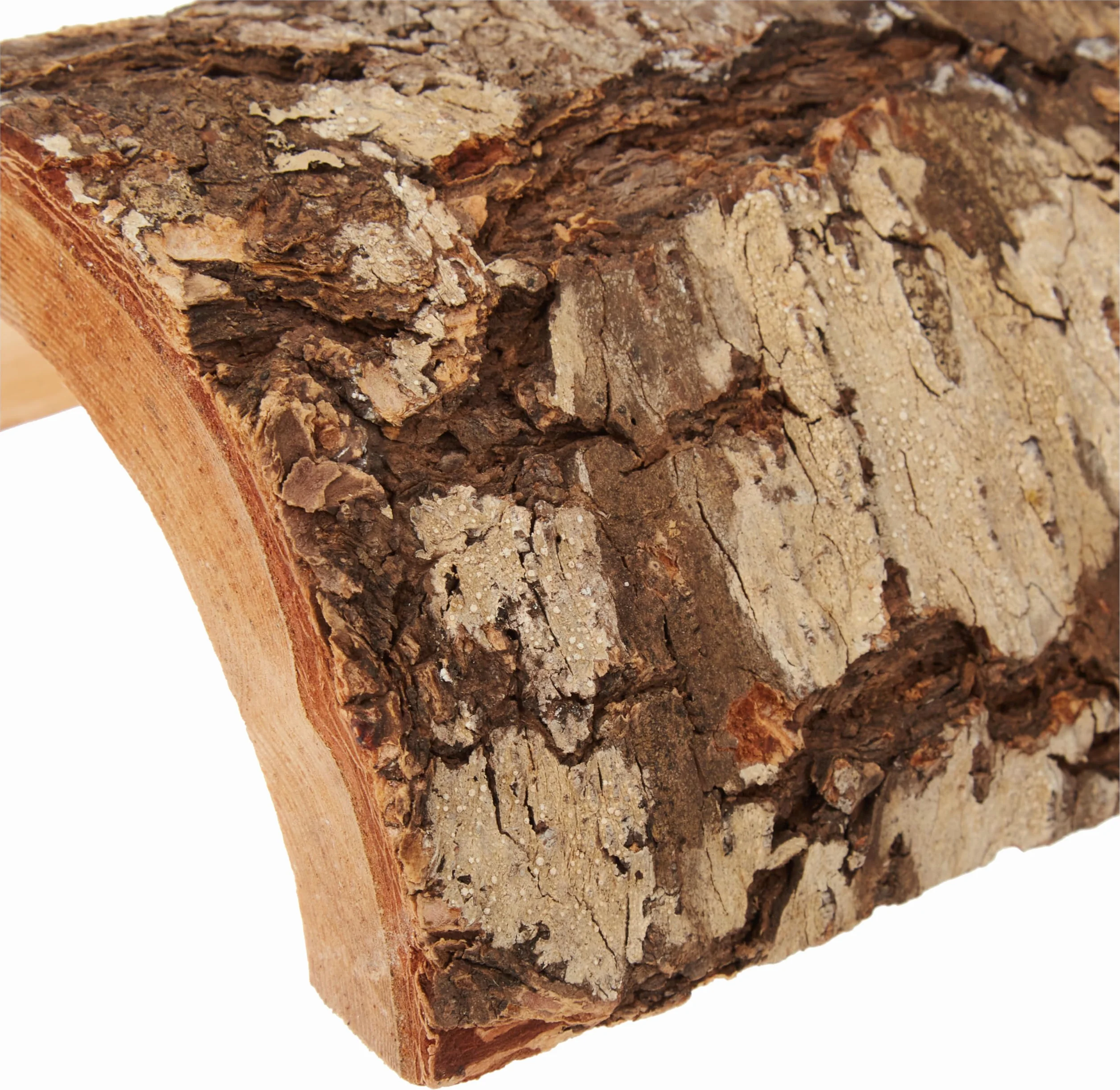 Zoo Med Habba Hut Cachette Terrarium Taille XL