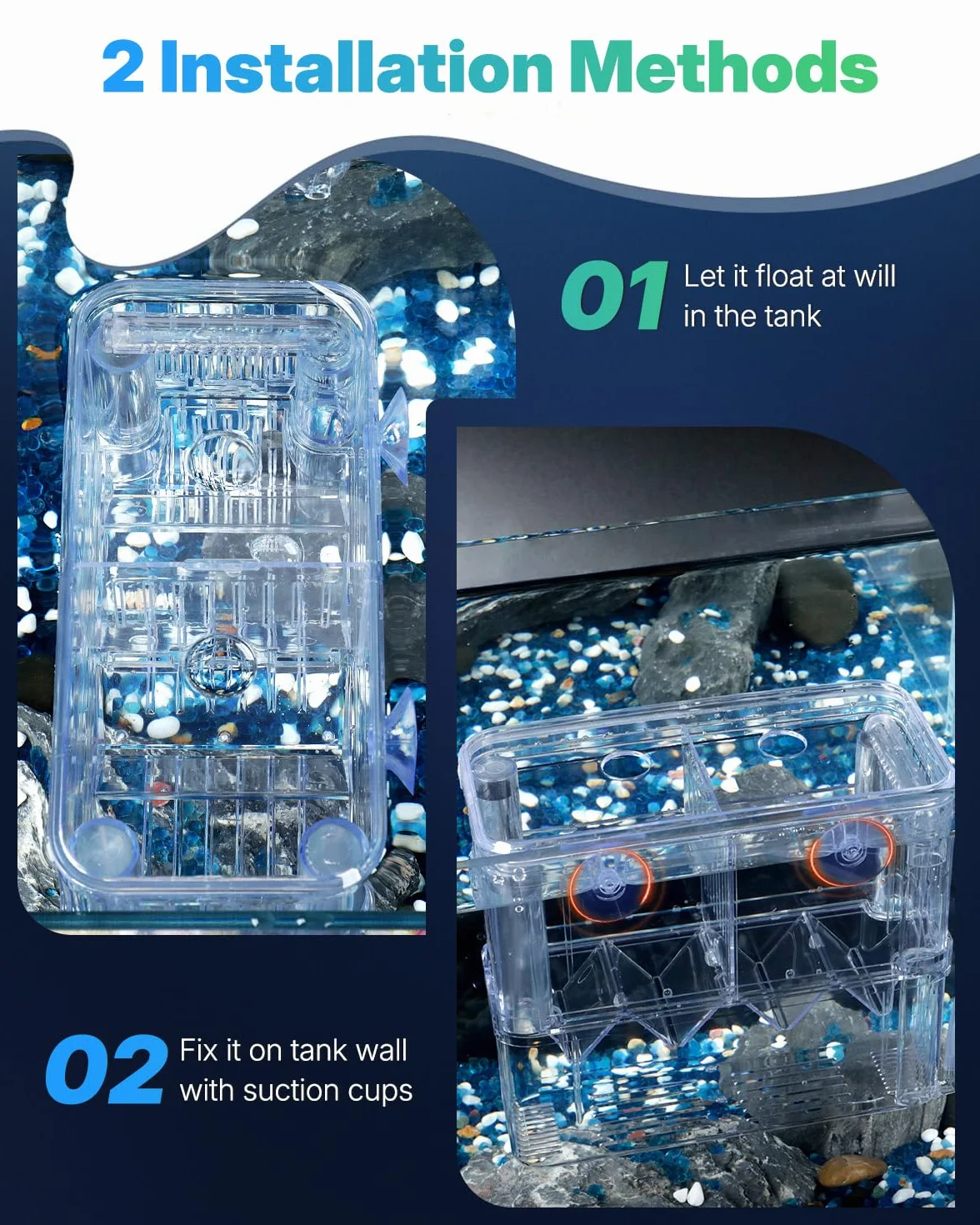 Pawfly Boîte d'élevage d'aquarium en plastique transparent - Incubateur pour crevettes - Grande boîte d'isolation pour poissons