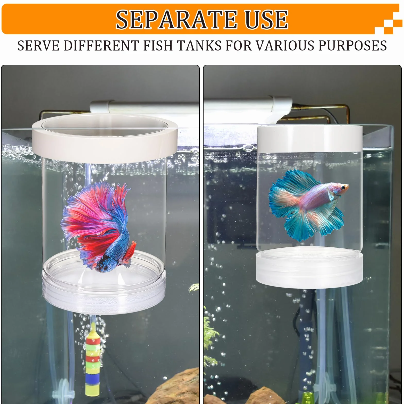 Boîte d'élevage flottante en plastique pour aquarium, séparateur de poissons, incubateur transparent pour crevettes betta