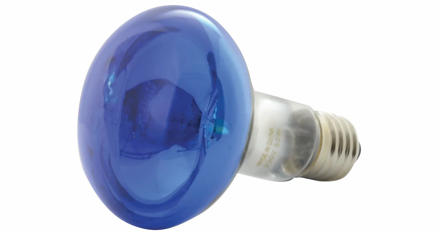 qtx Lampes réfléchissantes colorées R80