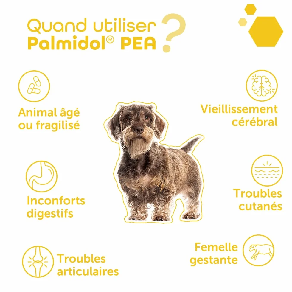 MP Labo Palmidol® PEA 30 Gélules - Complément pour Chien et Chat - Palmitoyléthanolamide et Astaxanthine