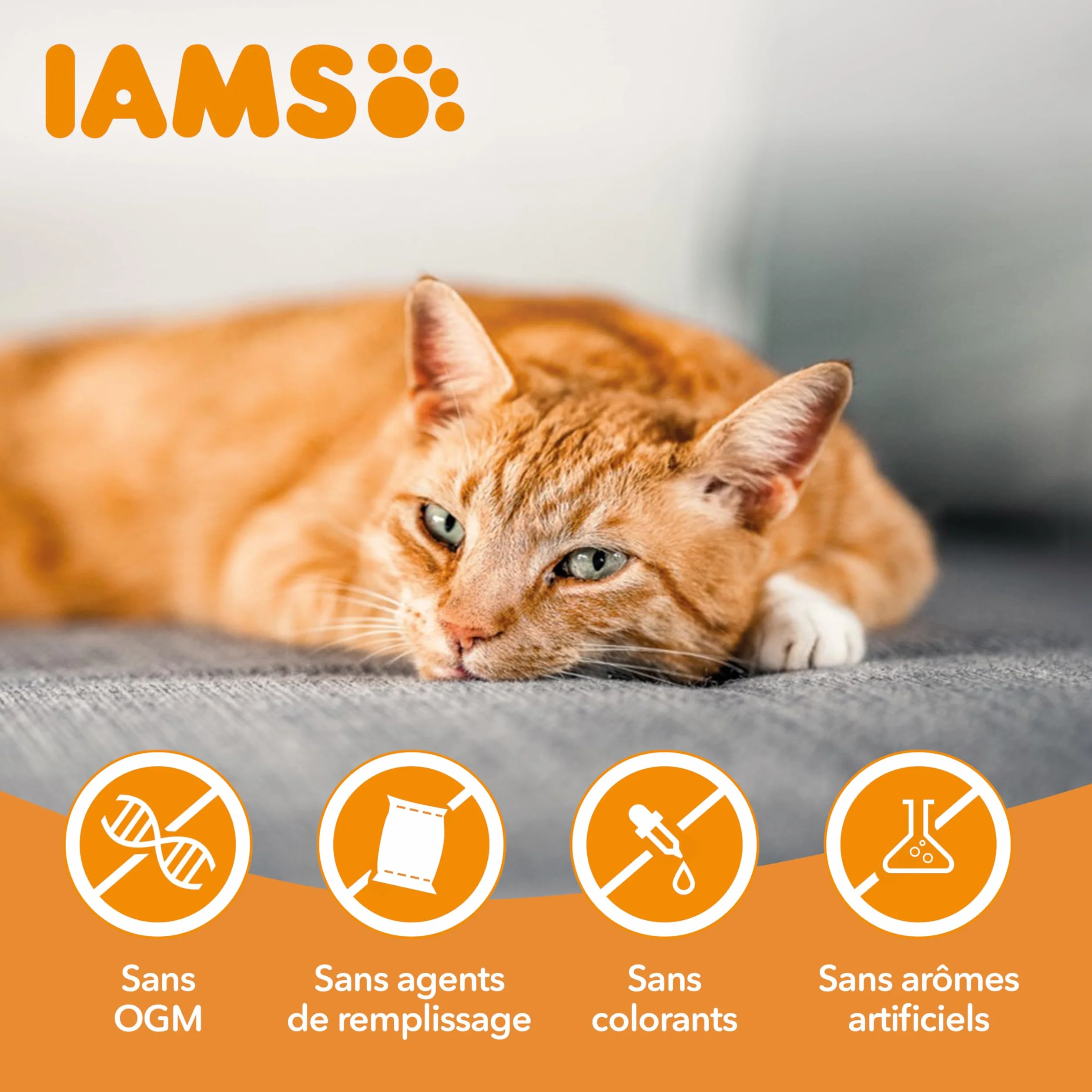 IAMS Advanced Nutrition Croquettes Allégées pour Chats Stérilisés au Poulet Frais 1,5 kg