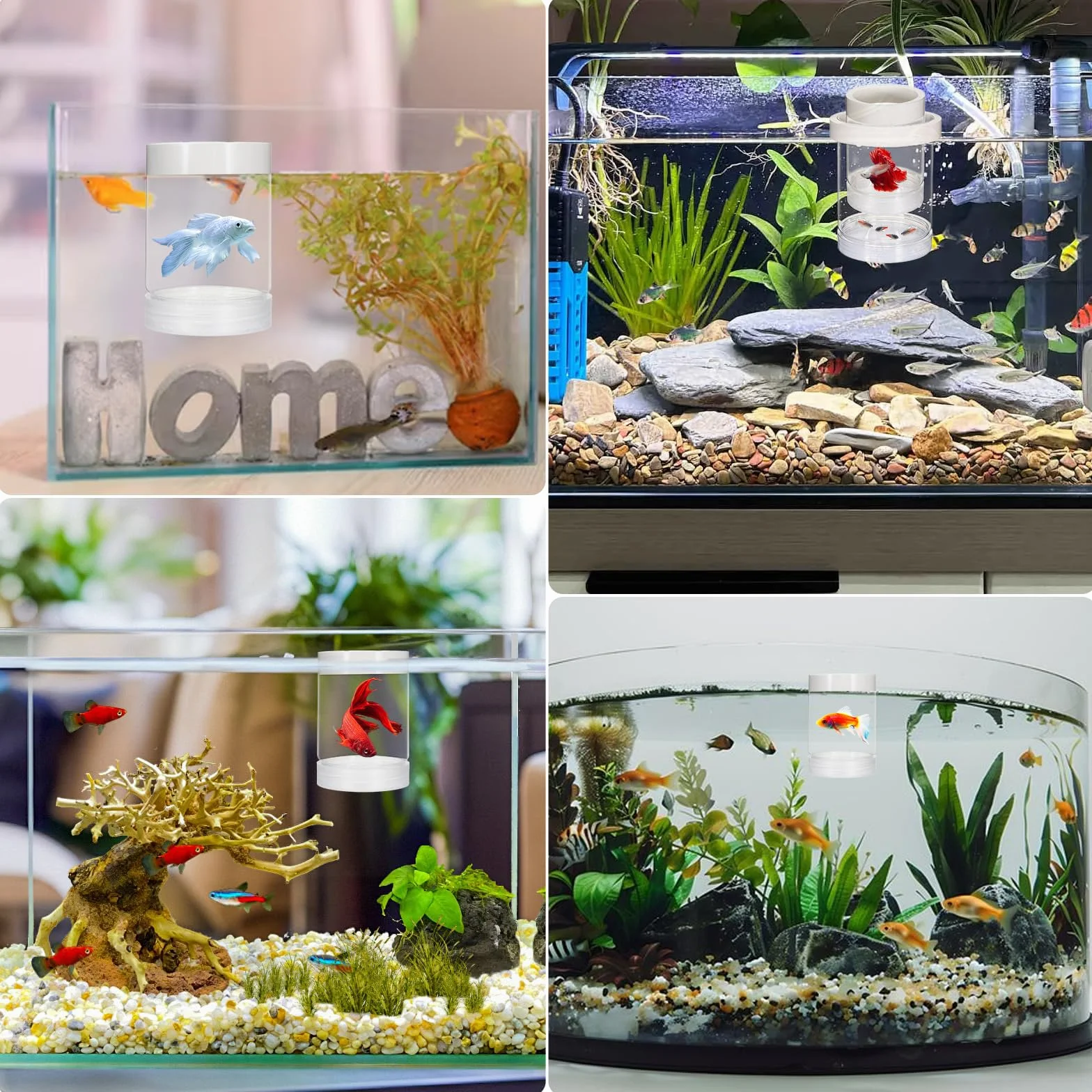 Boîte d'élevage flottante en plastique pour aquarium, séparateur de poissons, incubateur transparent pour crevettes betta