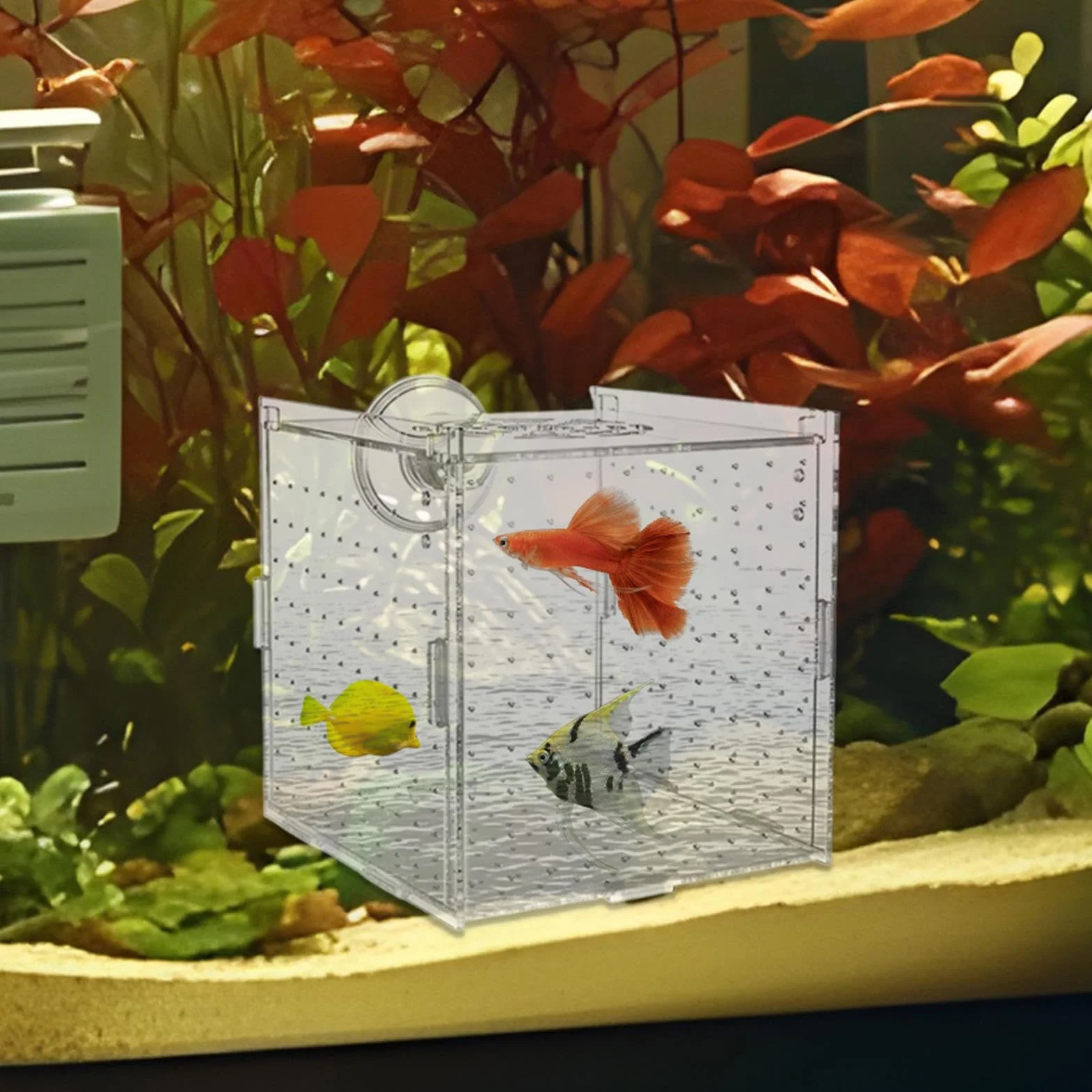 Bac de Reproduction pour Aquarium - Boîte de Reproduction pour Poissons avec Ventouses, Conteneur d'Élevage pour Œufs Nauplies Guppys Poissons Anges