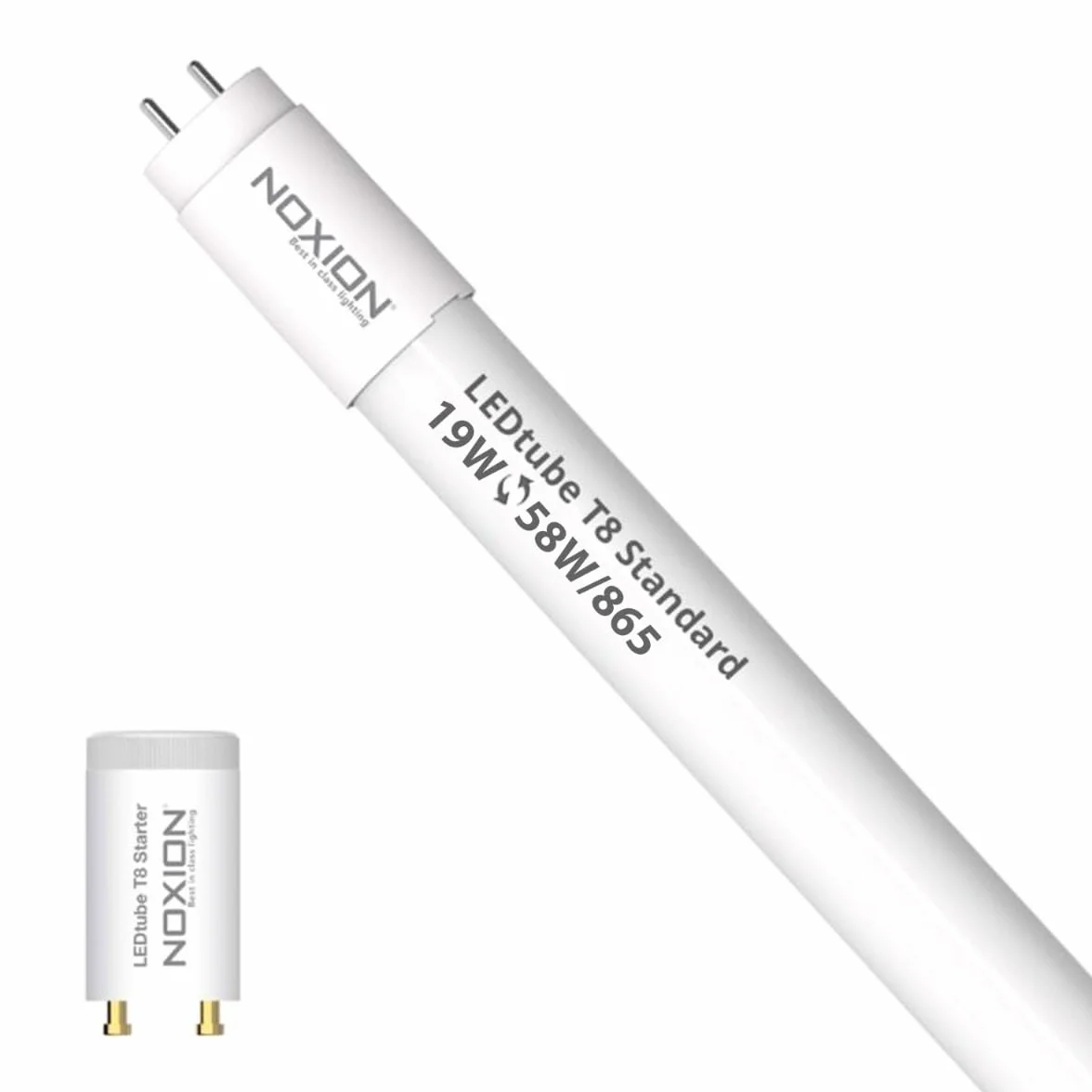 Noxion Tube LED T8 Avant 19W 2300lm 865 150cm Équivalent 58W