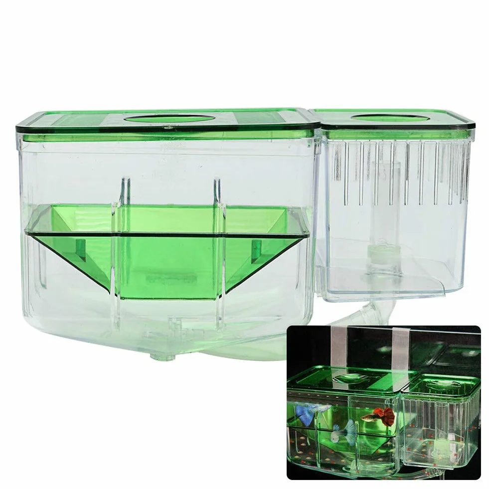 Filet d'élevage de Poissons, incubateur d'aquarium, boîte d'isolation multifonctionnelle