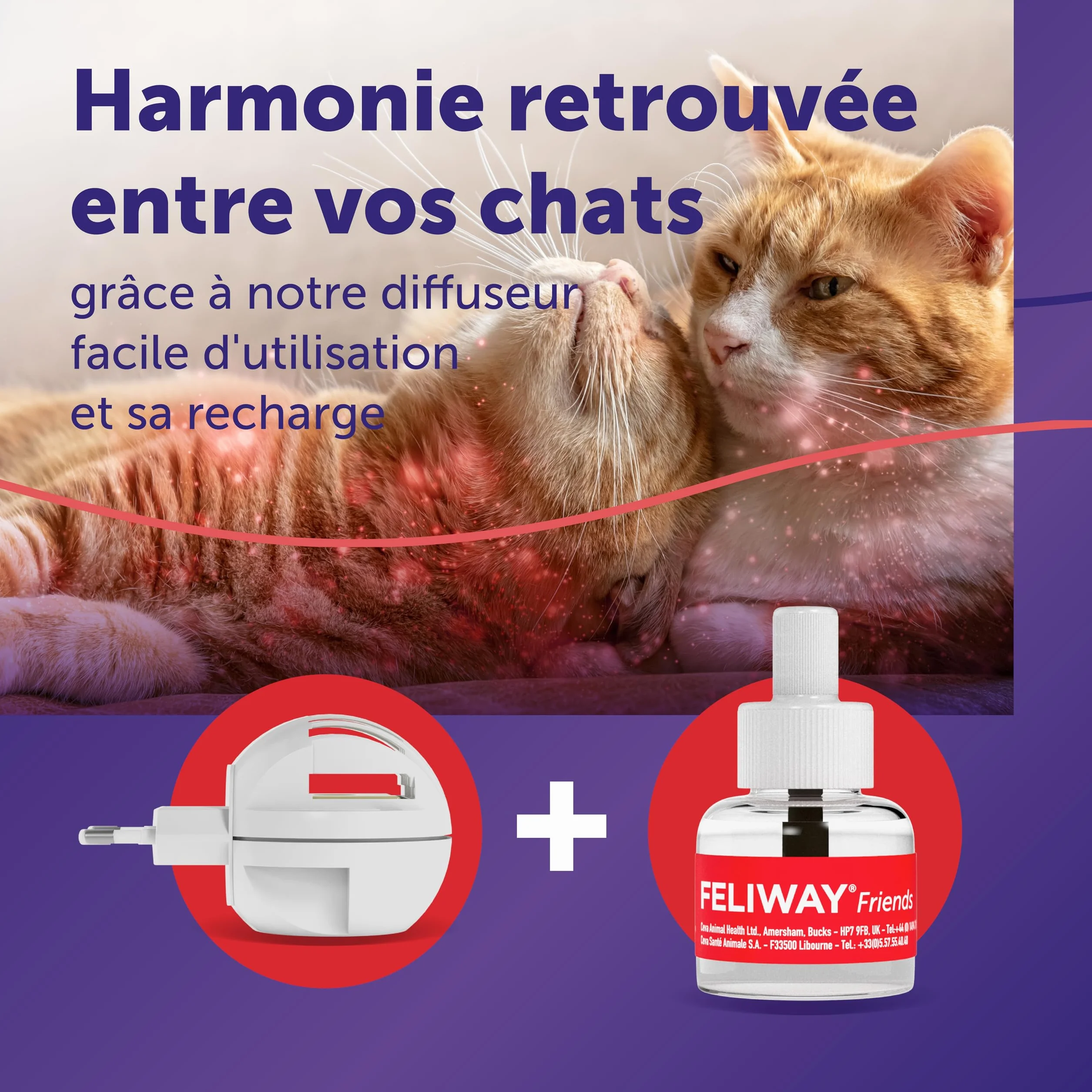 FELIWAY Friends 30 Jours - Kit Complet Diffuseur Phéromones Apaisantes pour Chats + Recharge 48 ml