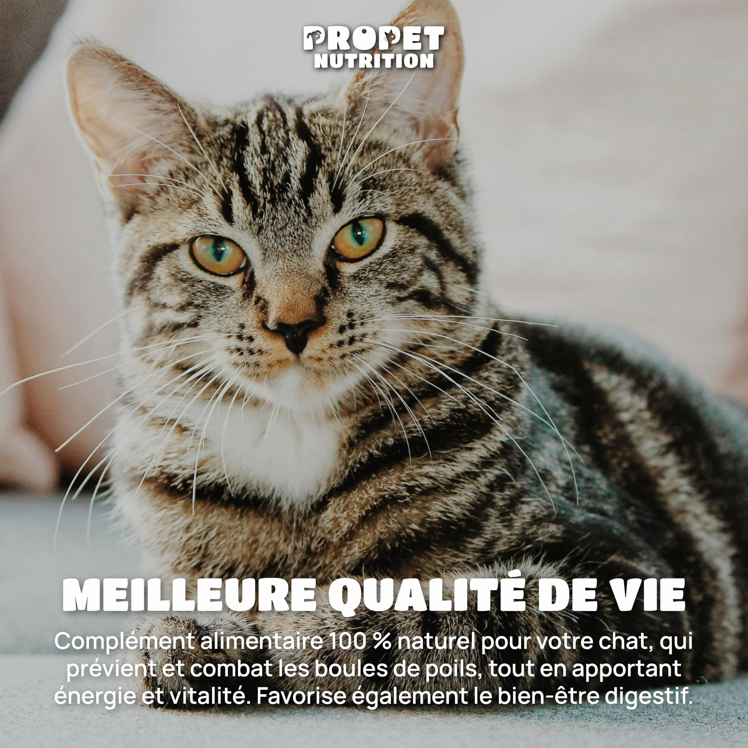 Malt Chat Anti Boule de Poil avec Taurine et Vitamines 120 ML