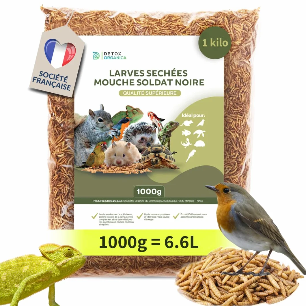 Black Soldier Fly Larve 1000g Friandise Oiseaux Hérissons Tortues Reptiles Poissons Rongeurs 100% Naturel