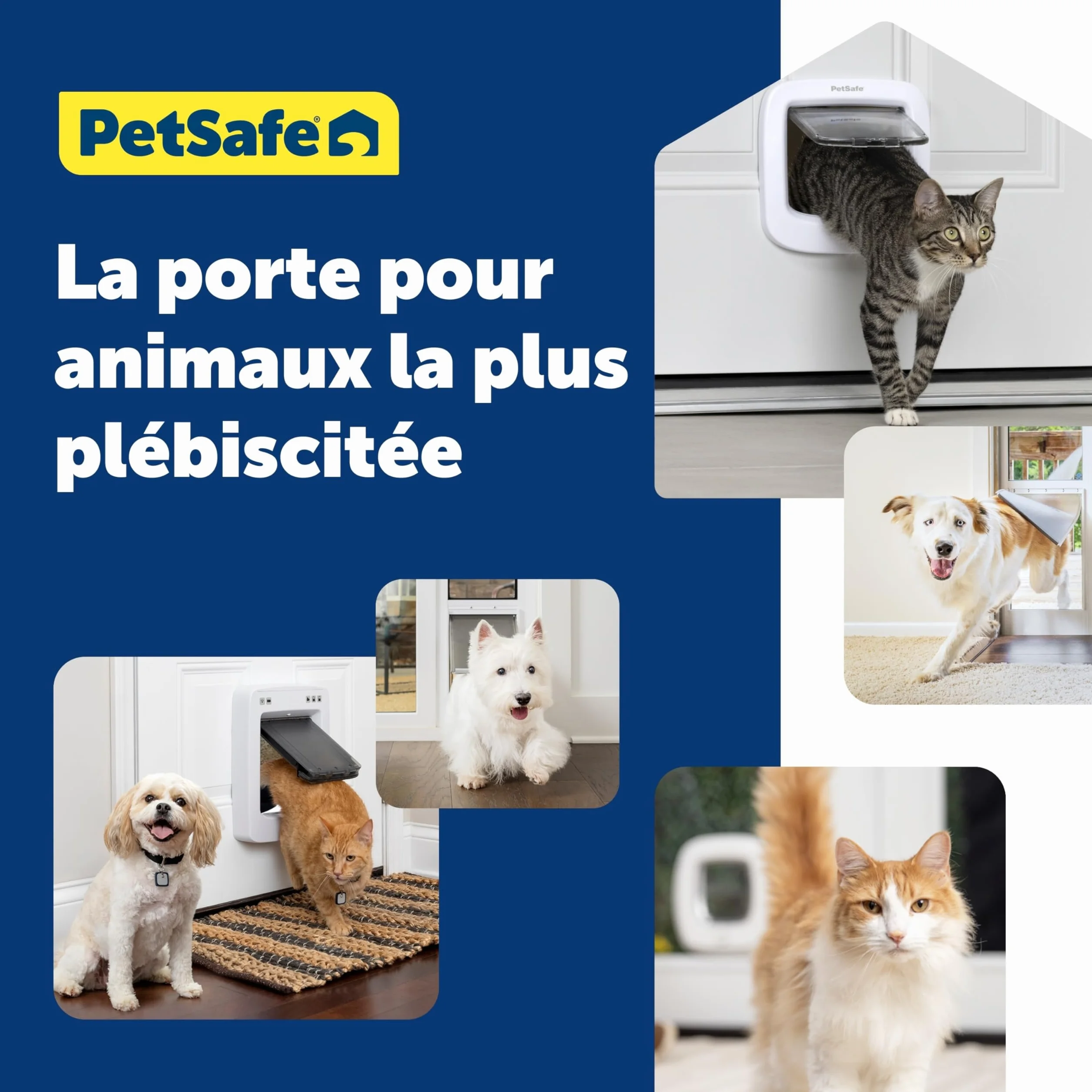 PetSafe Chatière Manuelle 4 Options Fermeture Blanc