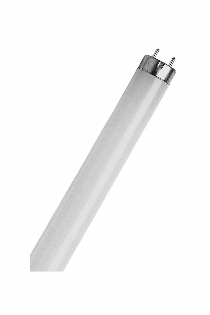 Philips TL-D 58W 840 Ampoule Fluorescente Lot de 10