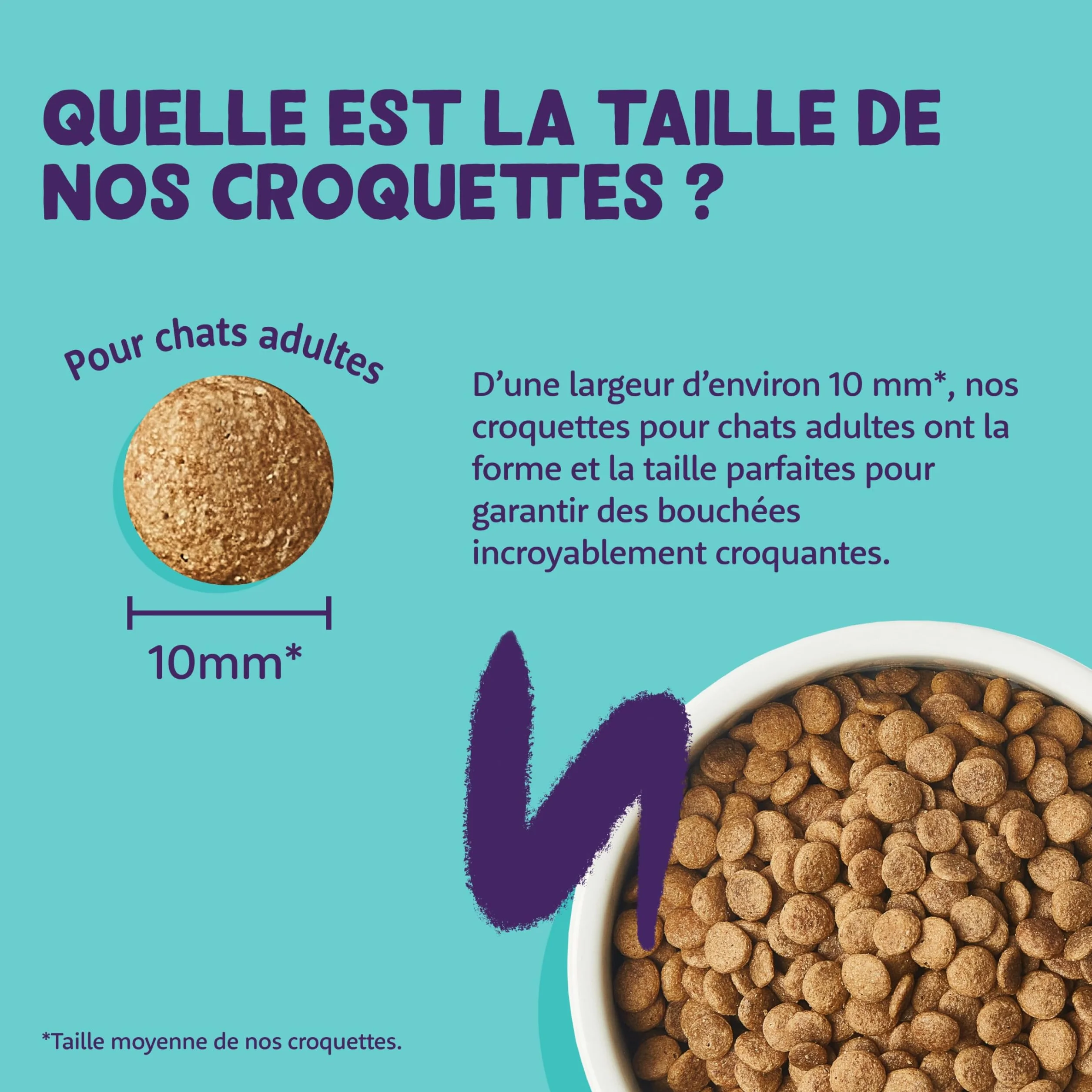 Edgard Cooper Croquettes pour Chat Stérilisé Adulte Poulet 2kg Sans céréales Riche en protéines
