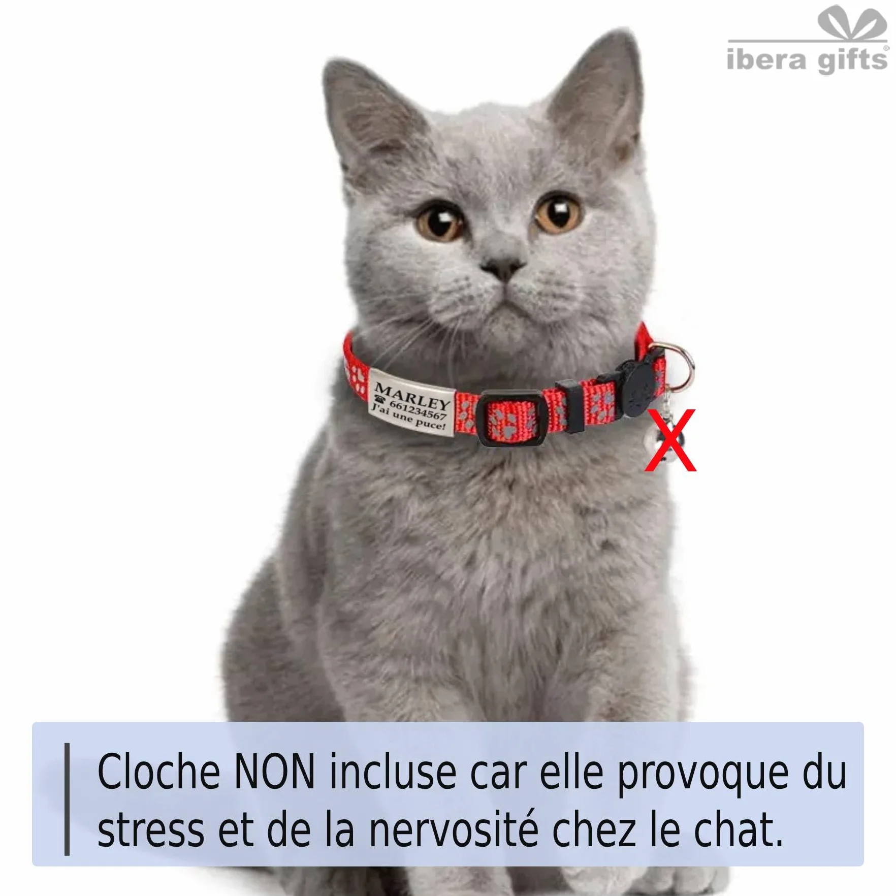 Collier Chat Personnalisé avec Gravure Rose